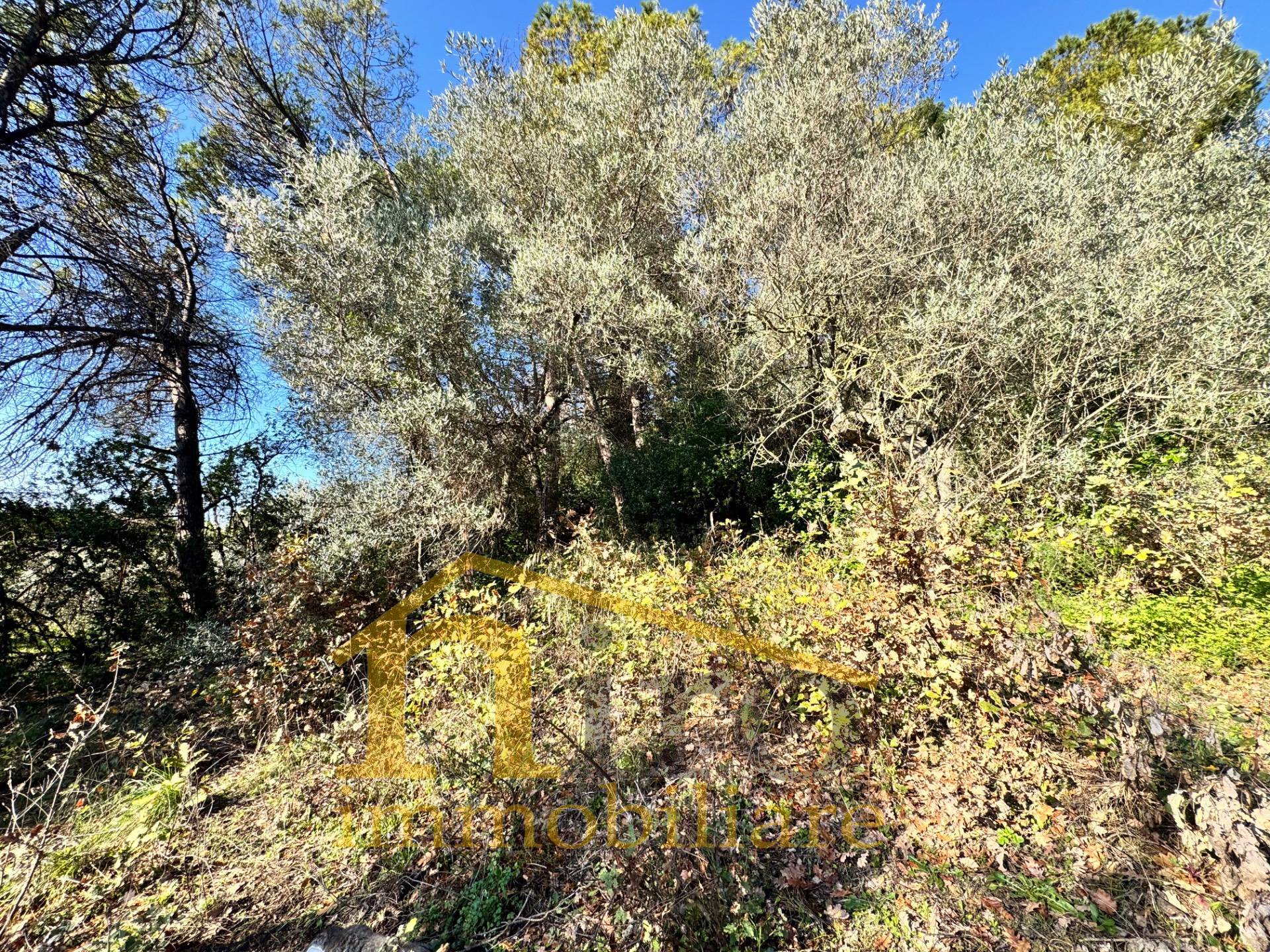 Terreno edificabile in vendita a Montesilvano