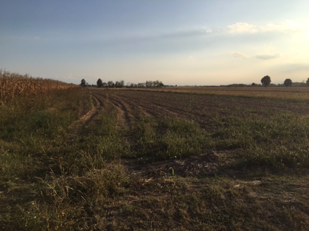 Terreno Agricolo in vendita a Carmagnola, Tuninetti