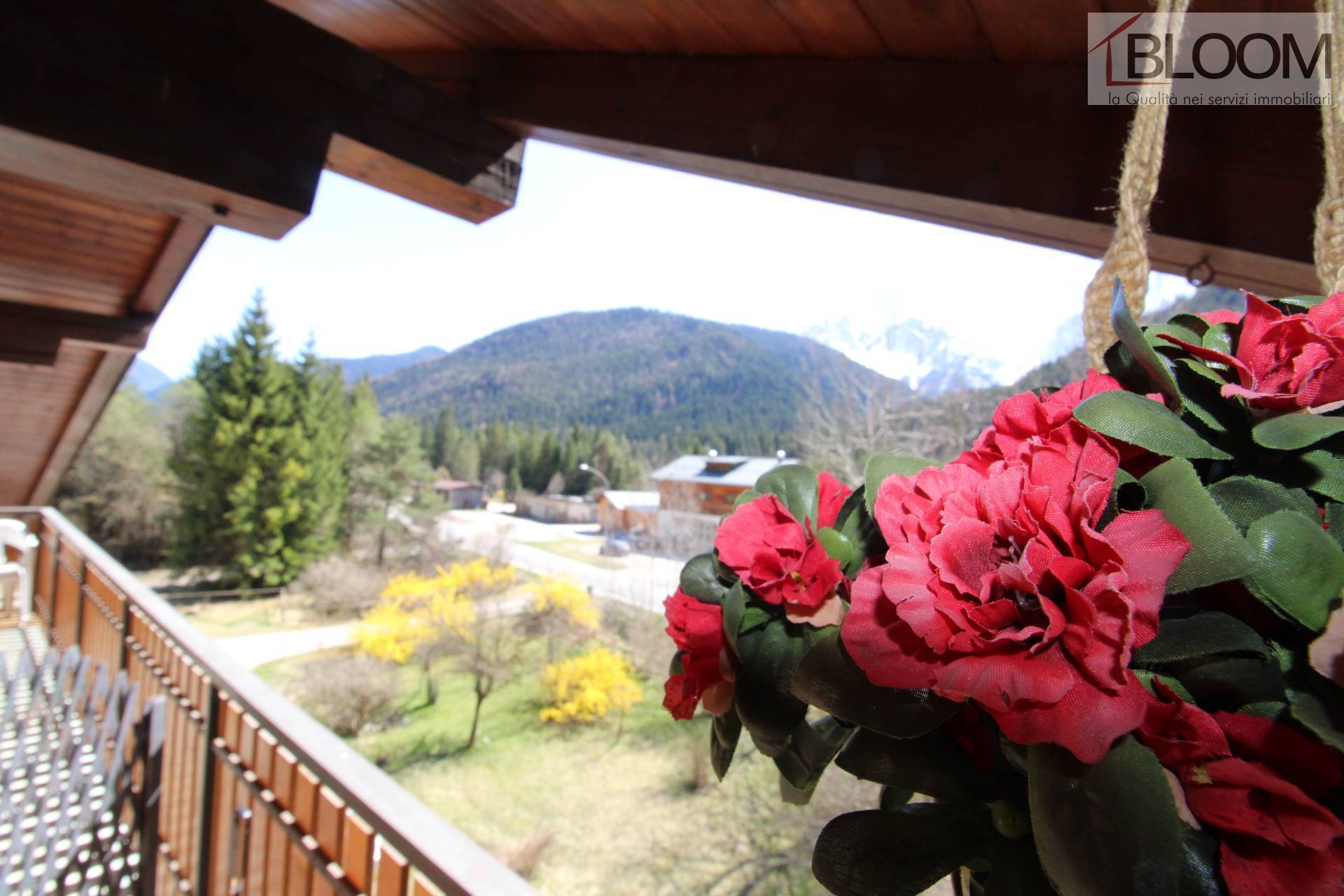 Mansarda in vendita a Auronzo di Cadore, Ligonto
