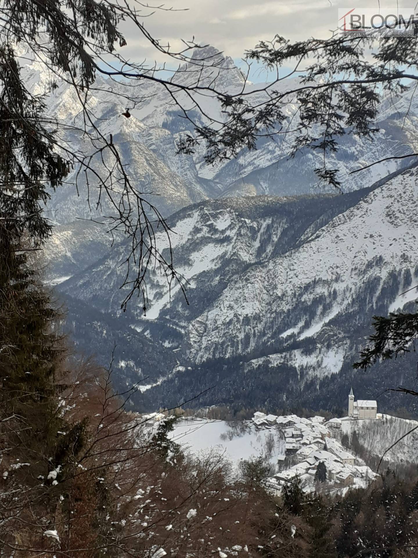 Terreno edificabile in vendita a Valle di Cadore, Valle