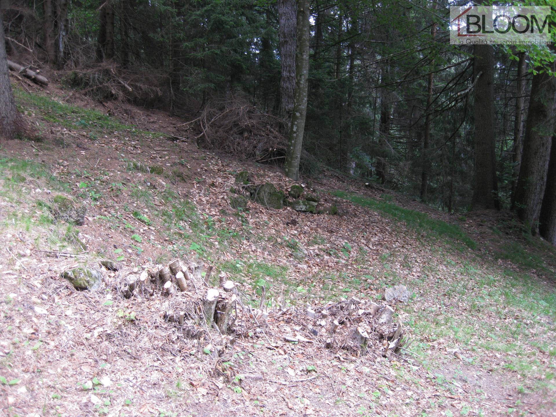 Terreno edificabile in vendita a Valle di Cadore, Valle