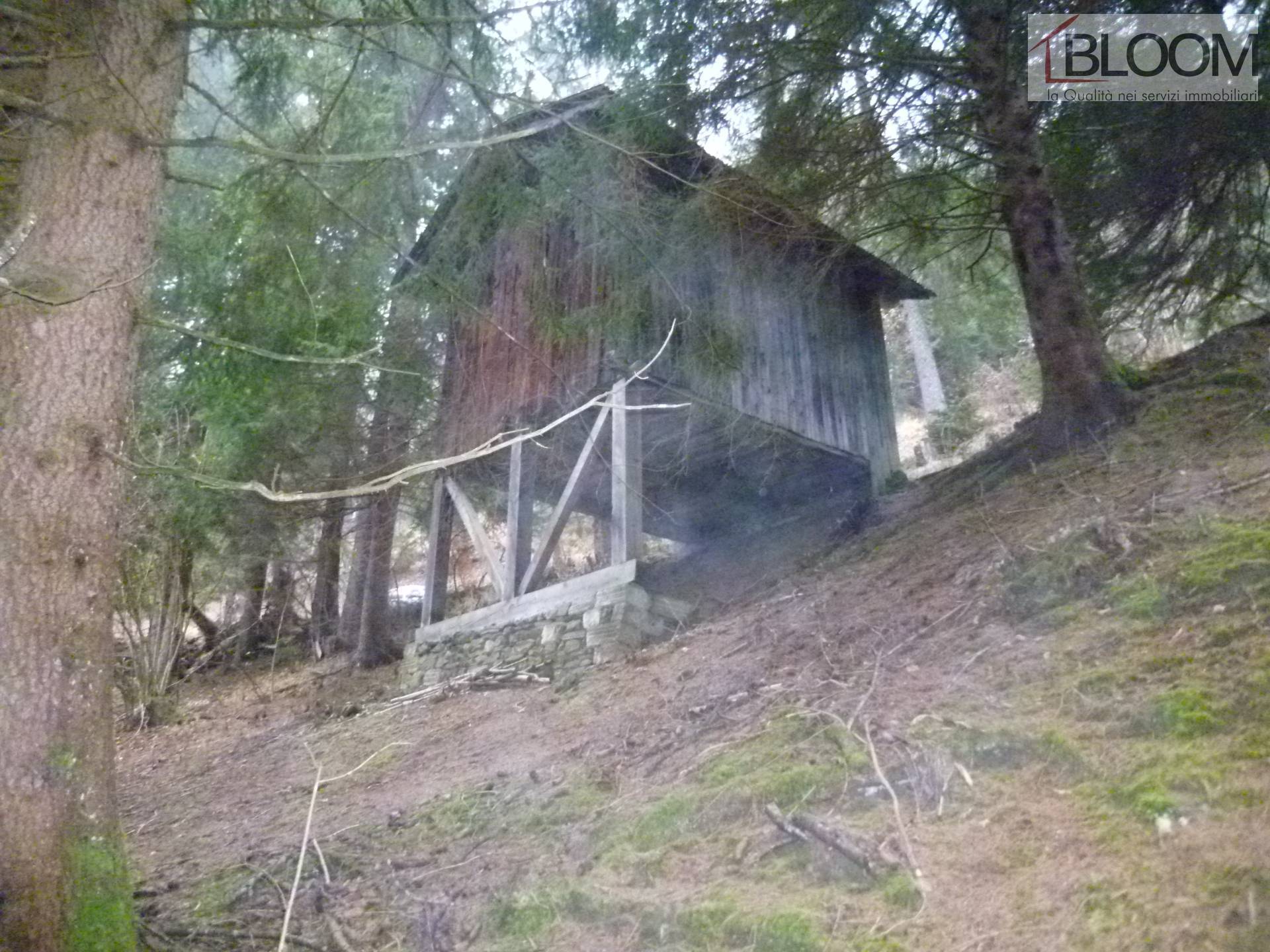 Rustico in vendita a Valle di Cadore, Venas