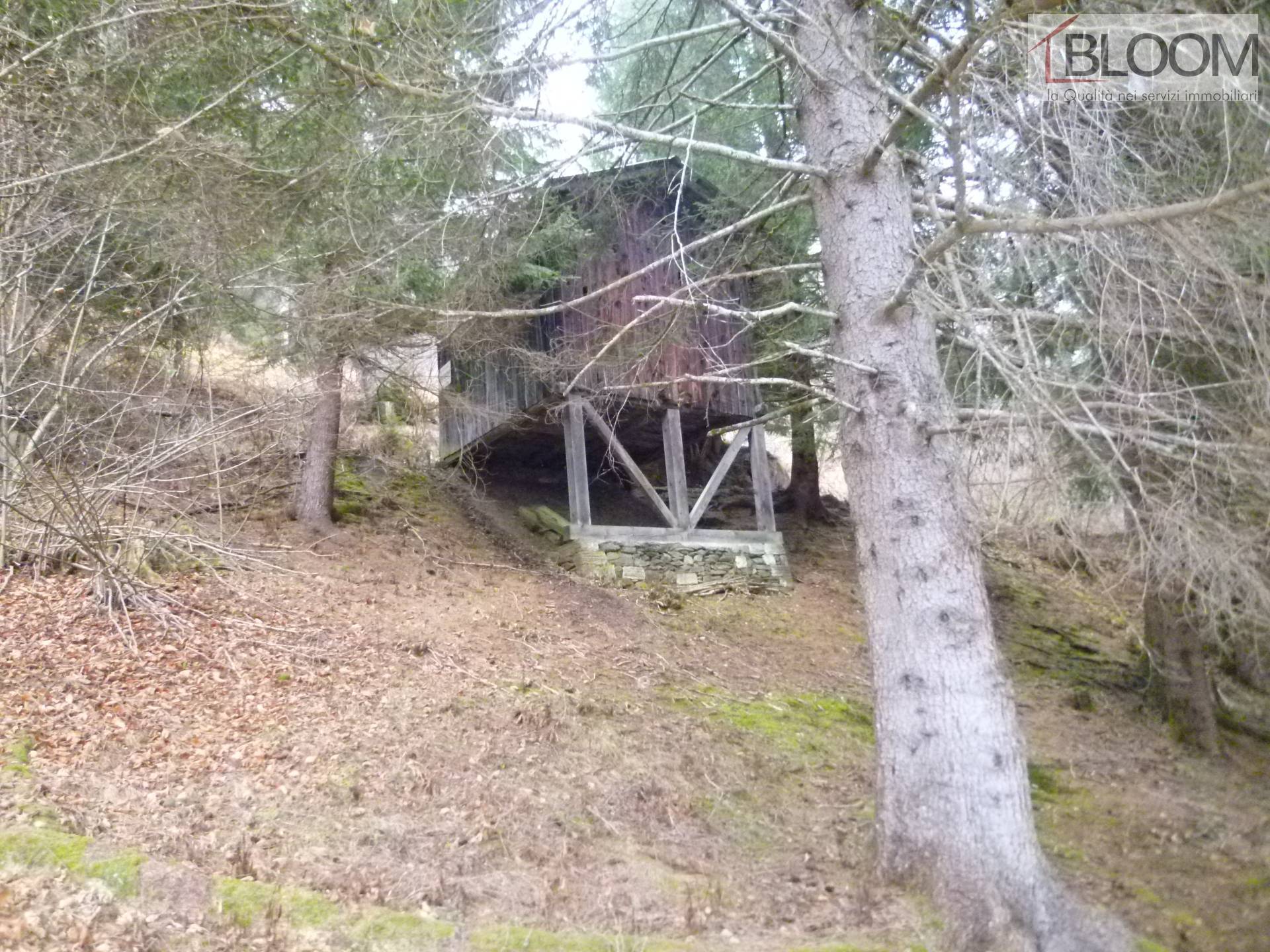Rustico in vendita a Valle di Cadore, Venas