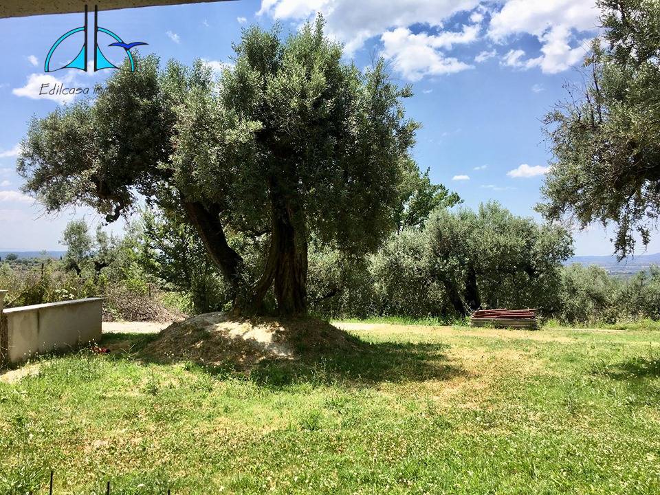 Villa in vendita a Fara in Sabina, Coltodino