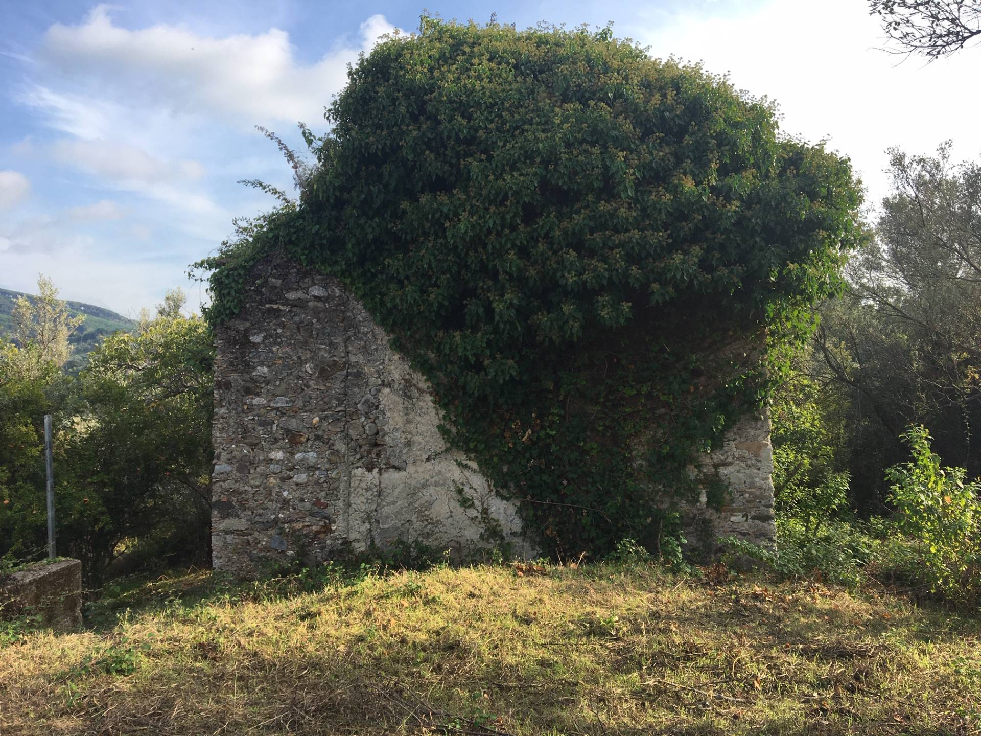 Terreno Agricolo in vendita a Catanzaro, Ian