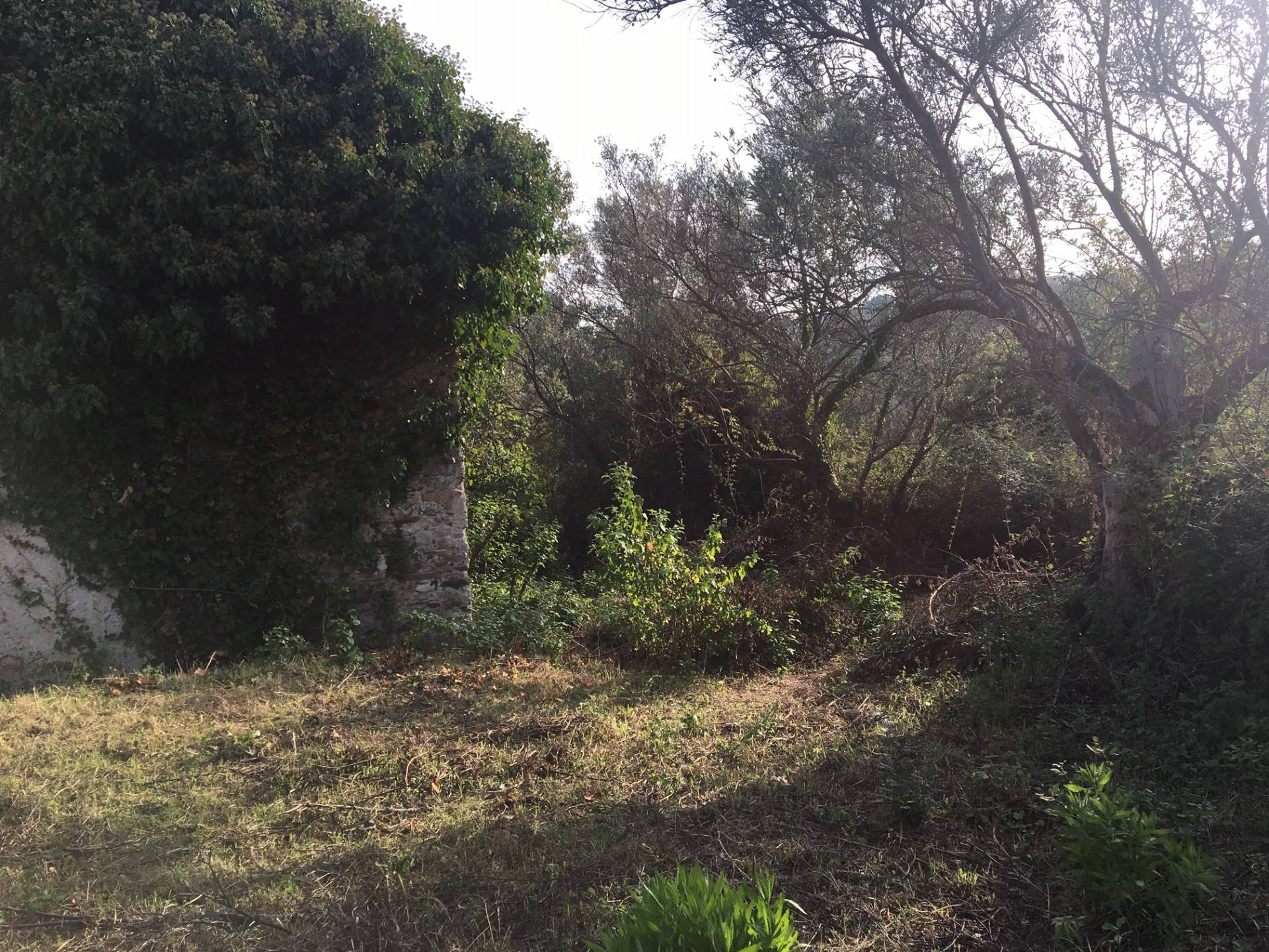 Terreno Agricolo in vendita a Catanzaro, Ian