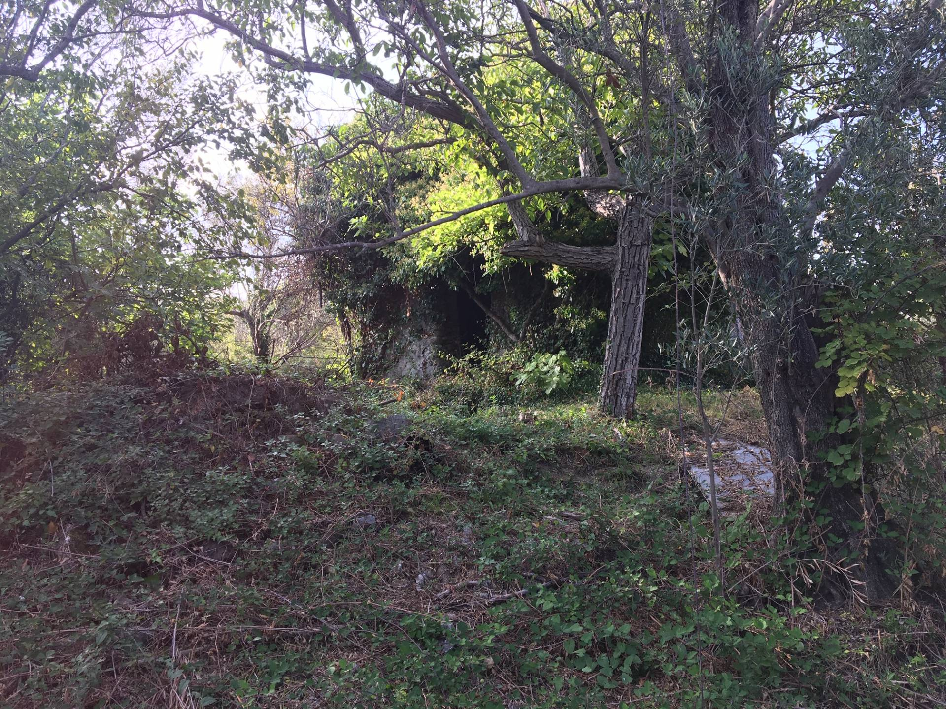 Terreno Agricolo in vendita a Catanzaro, Ian