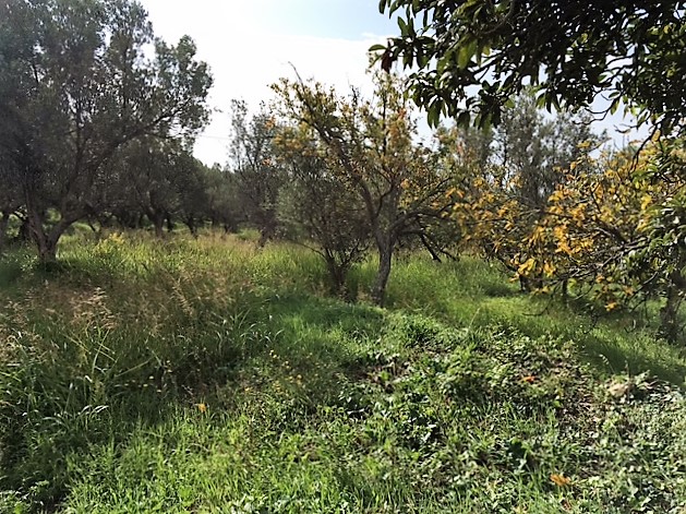 Terreno edificabile in vendita a Catanzaro, Gagliano