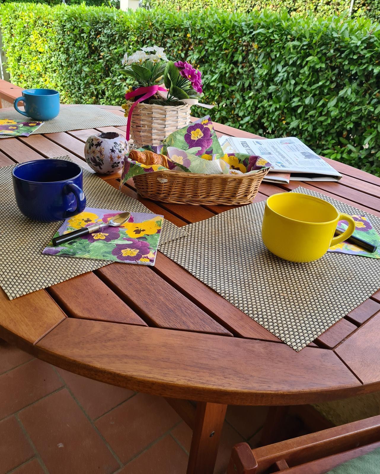 Villa Bifamiliare arredata in affitto, Montignoso cinquale