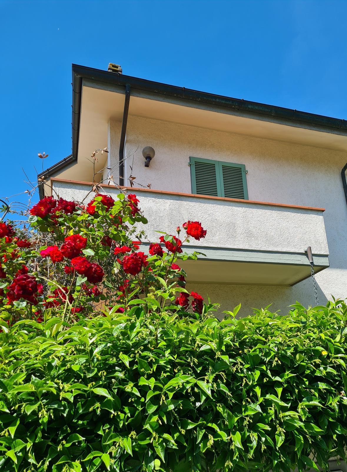 Villa Bifamiliare arredata in affitto, Montignoso cinquale