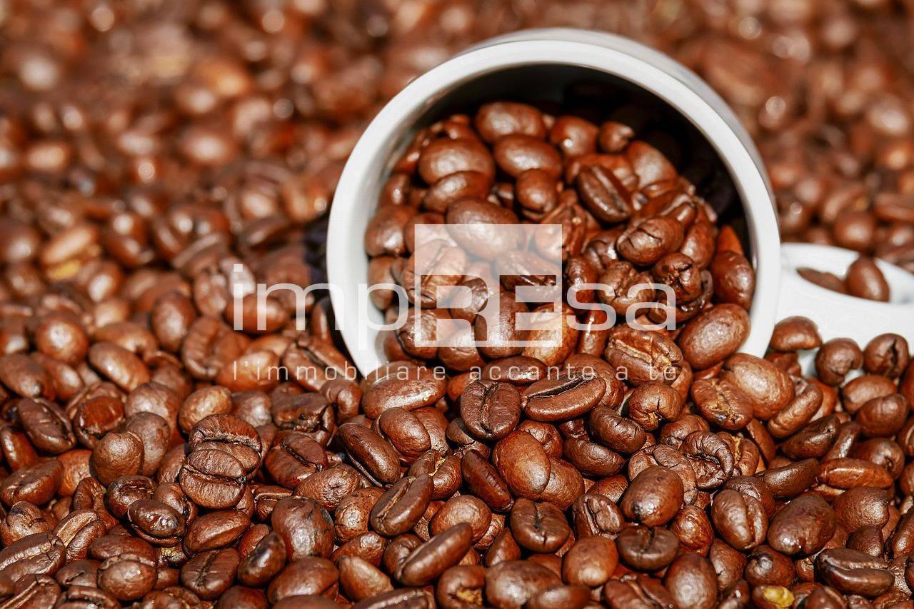 Bar in vendita a Quarto d'Altino, Altino