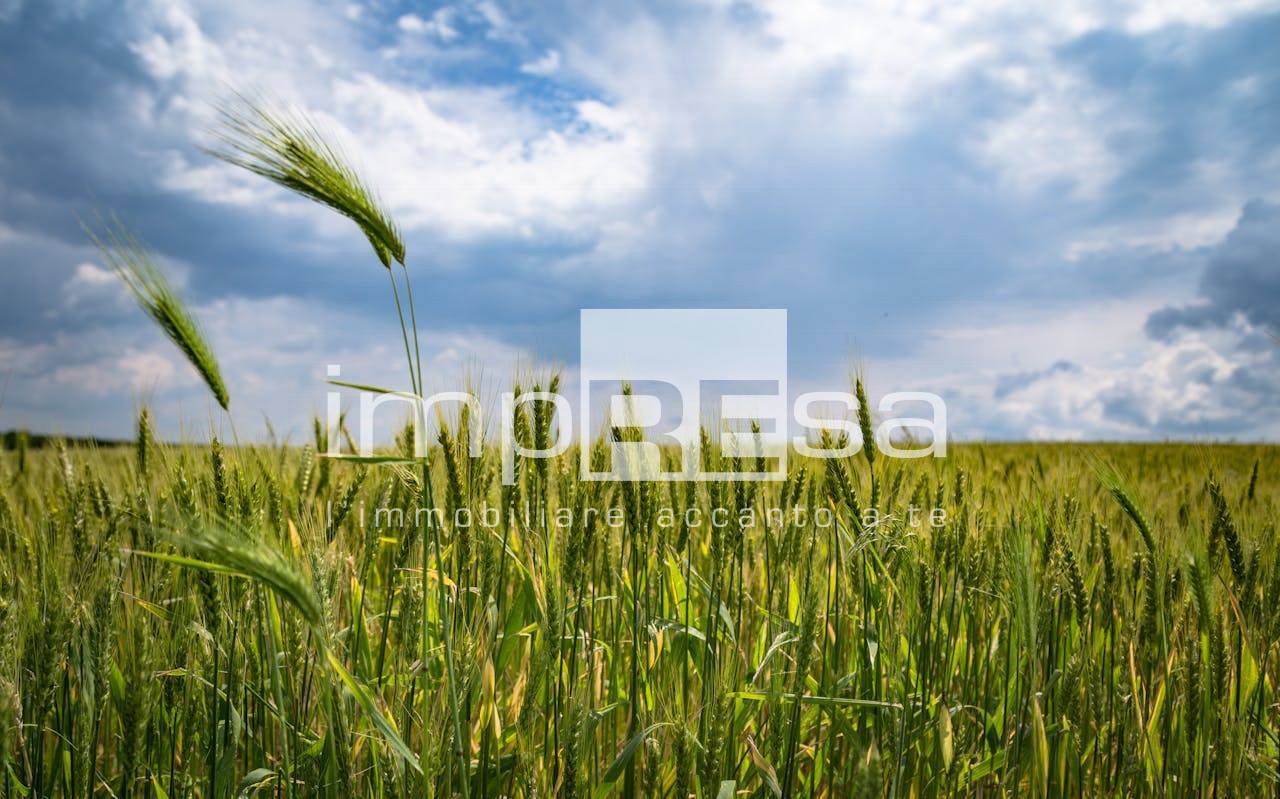 Terreno Agricolo in vendita a Casale sul Sile, Conscio