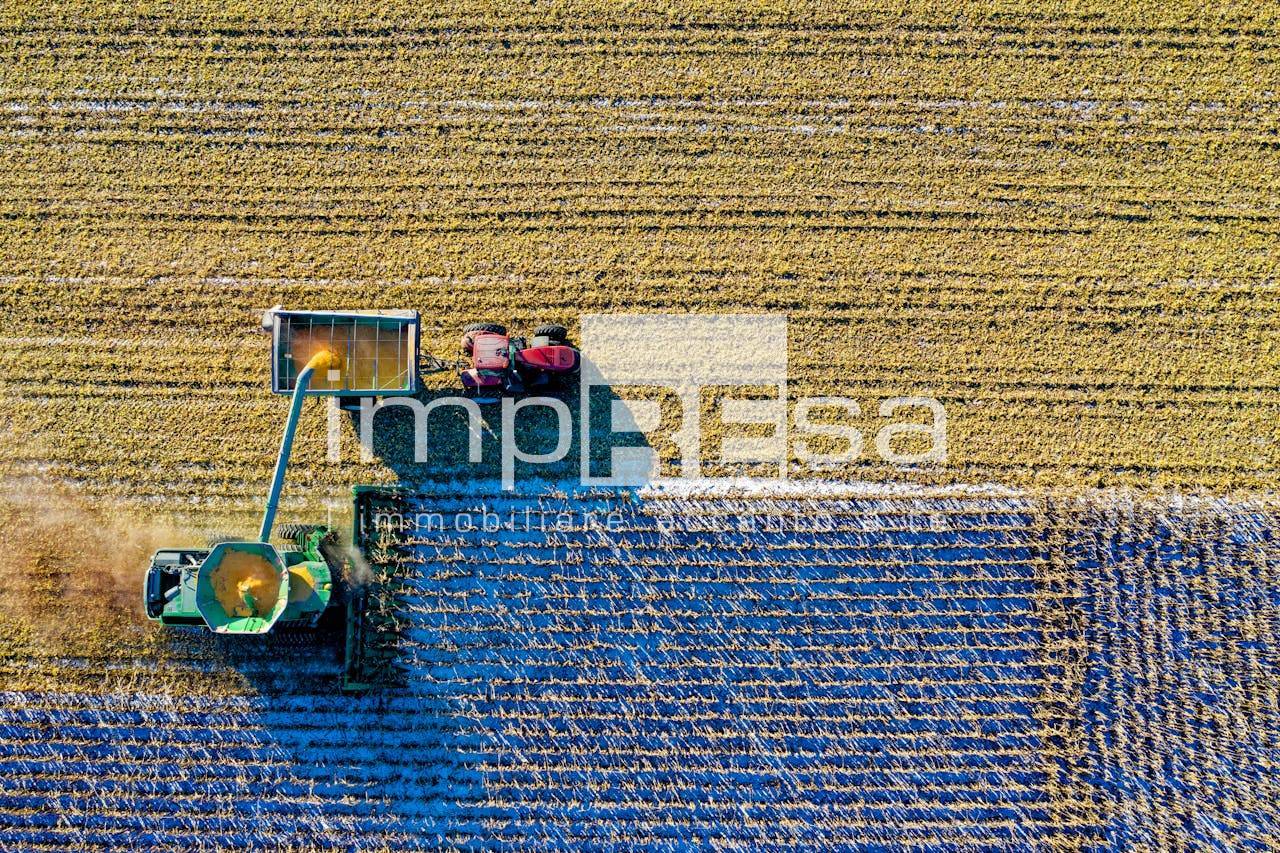 Terreno Agricolo in vendita a Casale sul Sile, Conscio