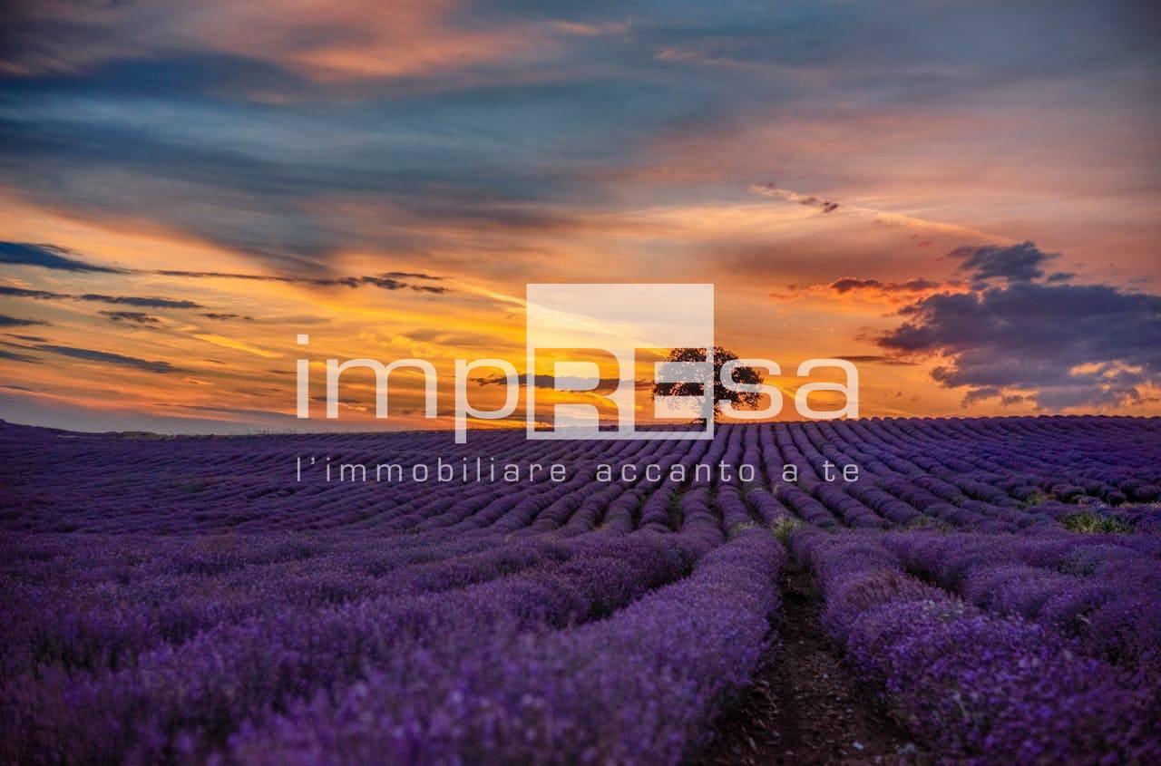 Terreno Agricolo in vendita a Casale sul Sile, Conscio
