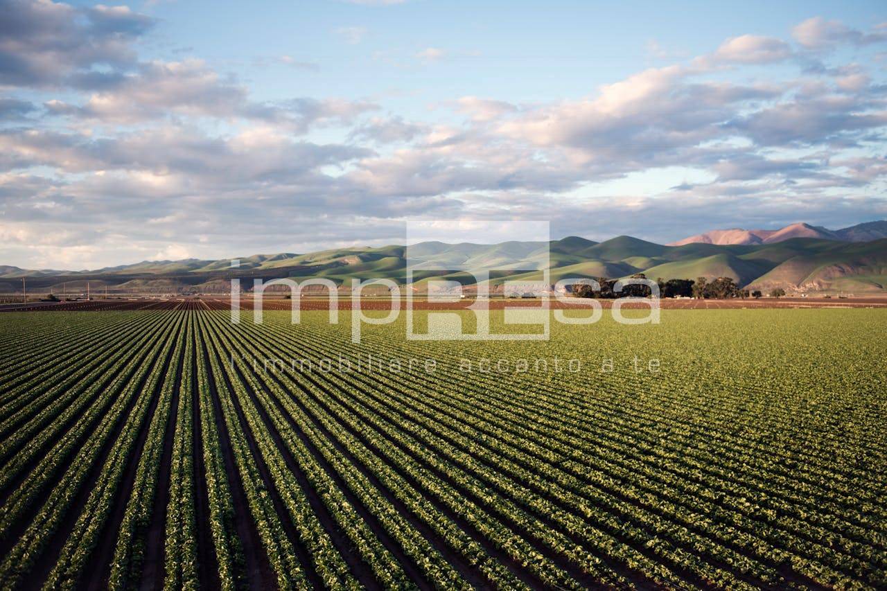 Terreno Agricolo in vendita a Marcon, San Liberale