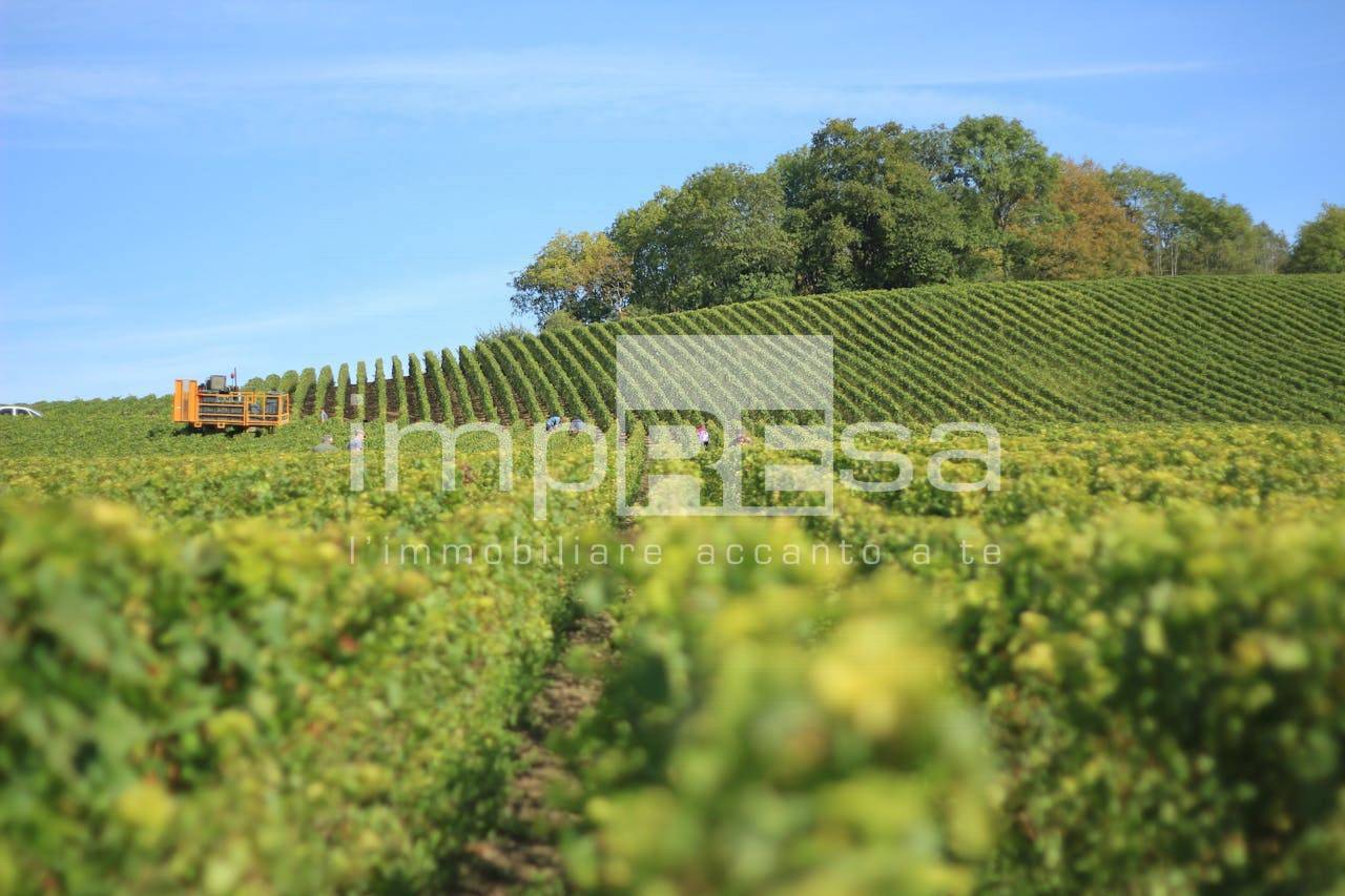 Terreno Agricolo in vendita a Marcon, San Liberale