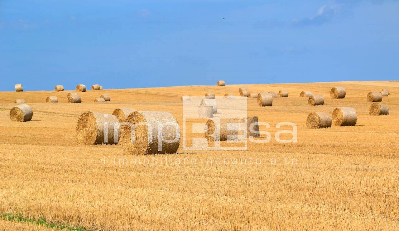 Terreno Agricolo in vendita a Marcon, San Liberale