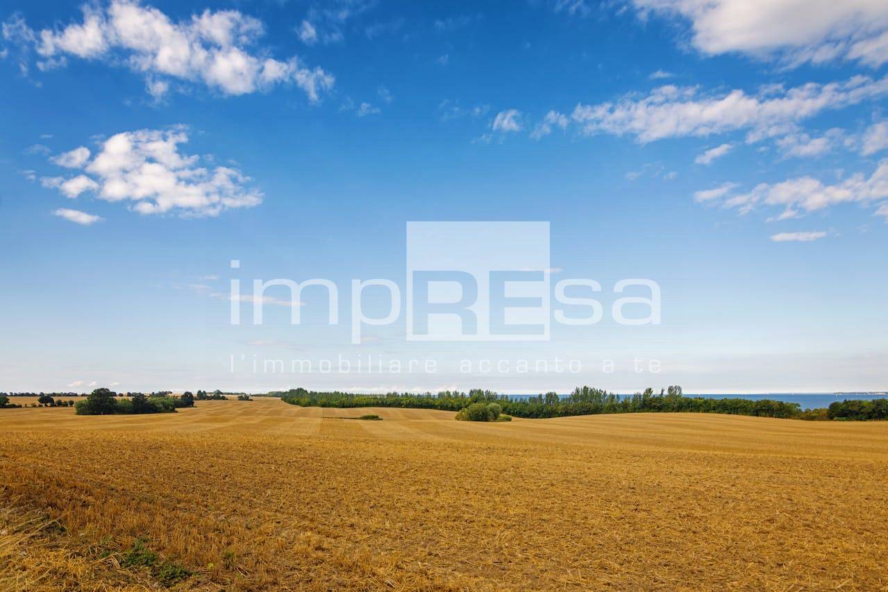 Terreno Agricolo in vendita a Marcon, San Liberale