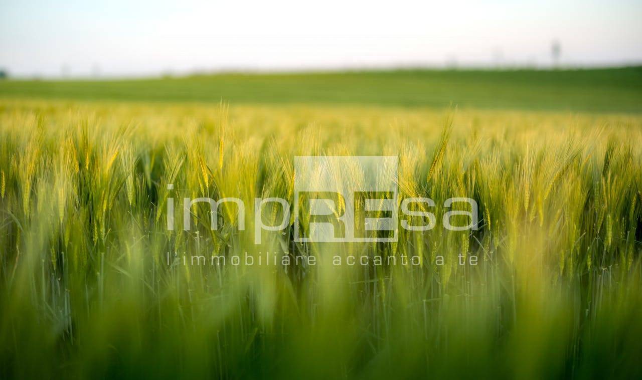 Terreno Agricolo in vendita a Marcon, San Liberale