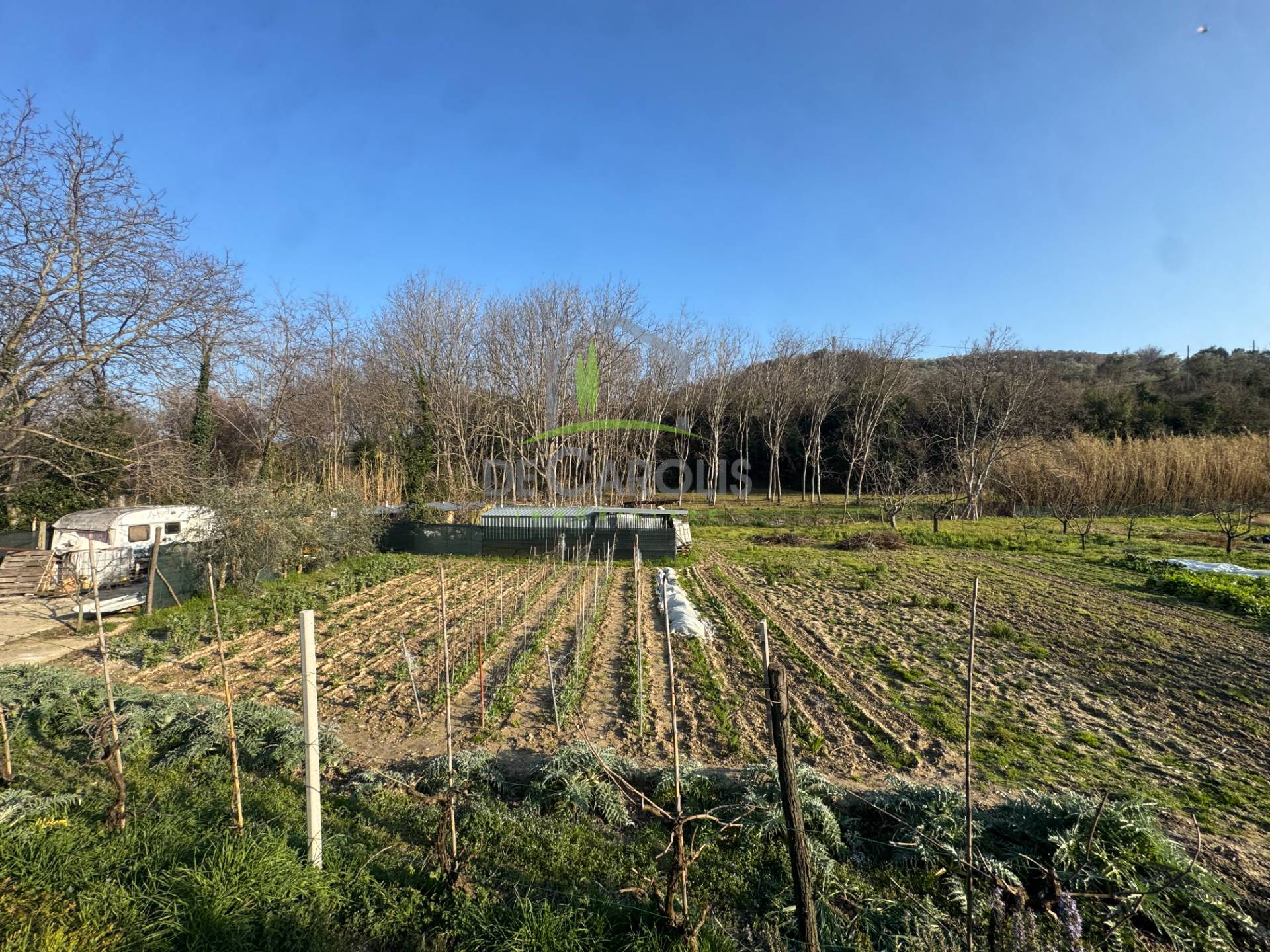 Terreno Agricolo in vendita a Folignano