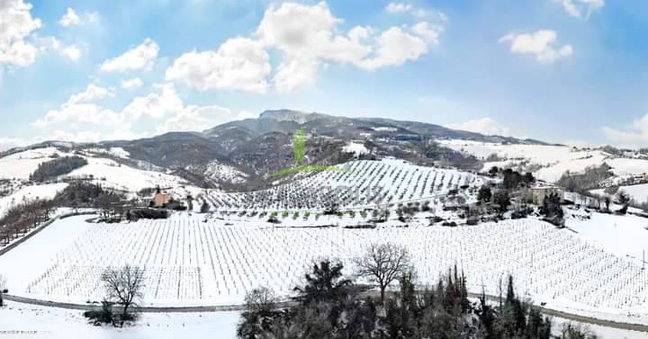 Terreno Agricolo in vendita a Rotella