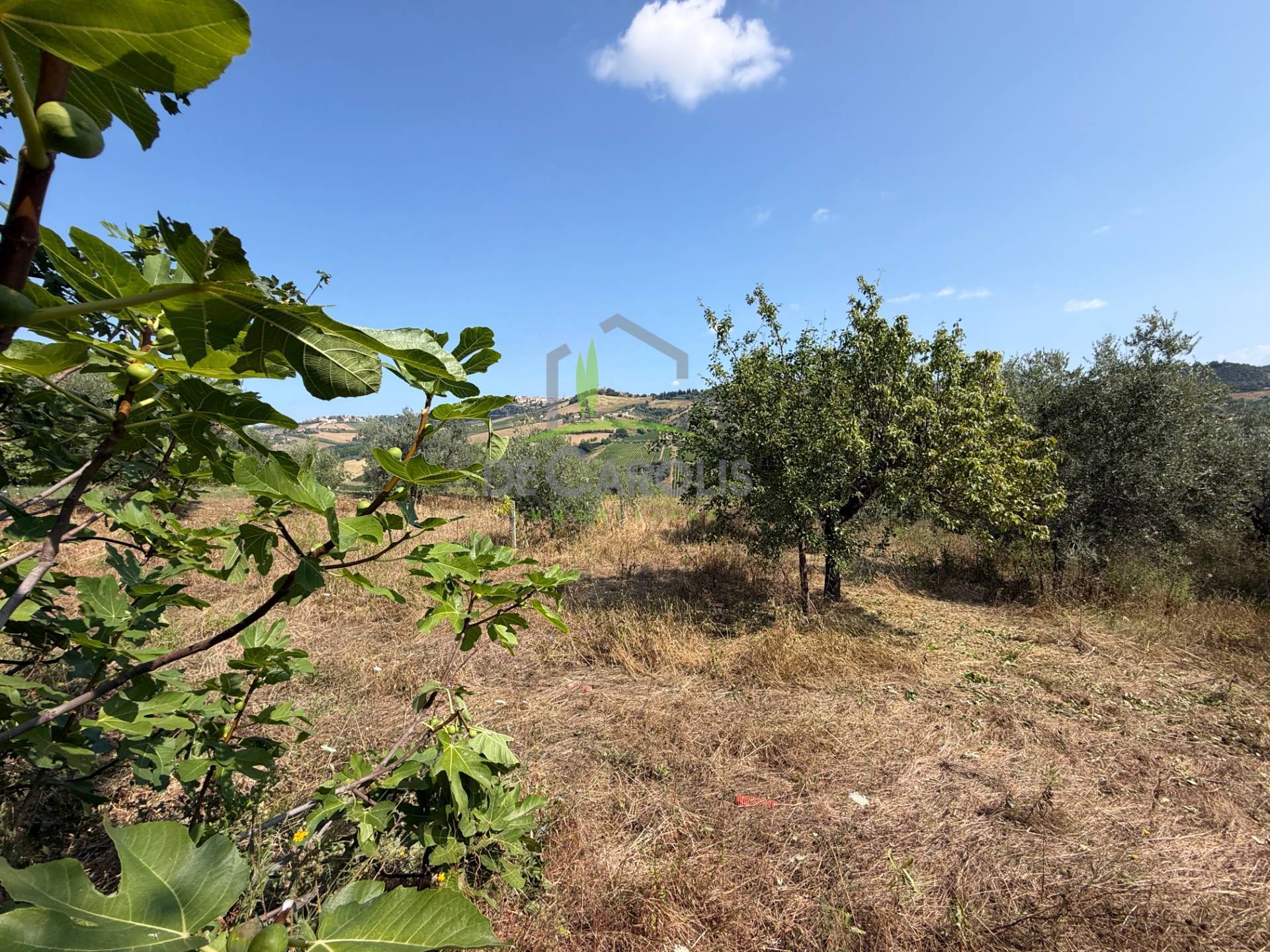 Casa singola in vendita a Monteprandone
