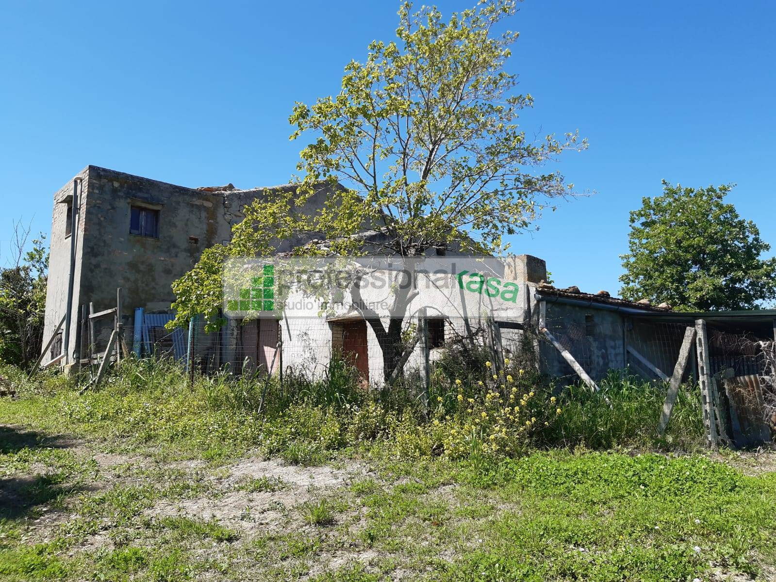 immagine annuncio 4 di 6