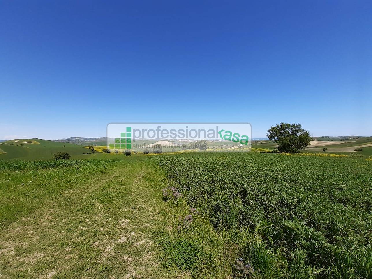 Casa con terreno in vendita a Montenero di Bisaccia