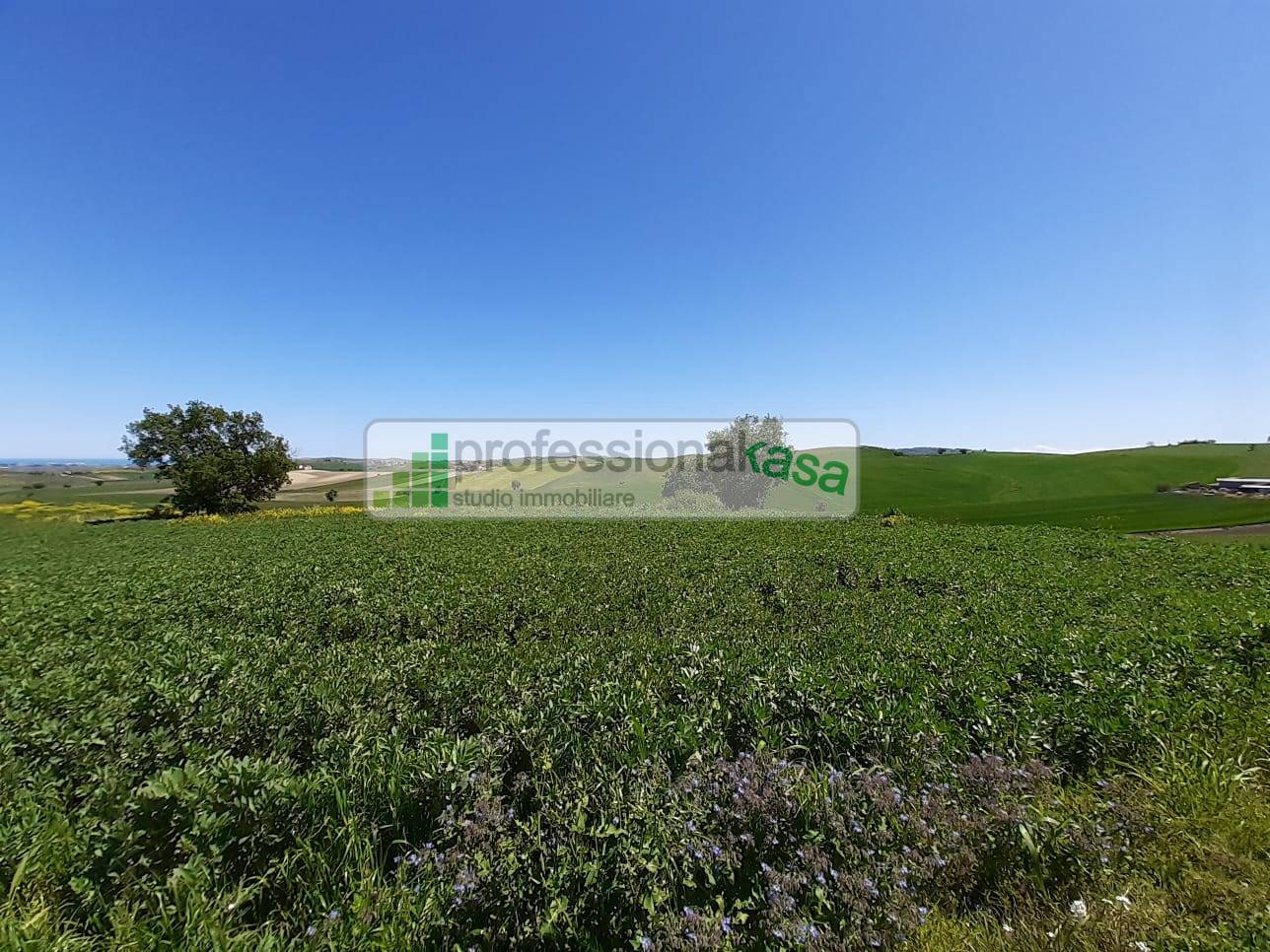 Casa con terreno in vendita a Montenero di Bisaccia