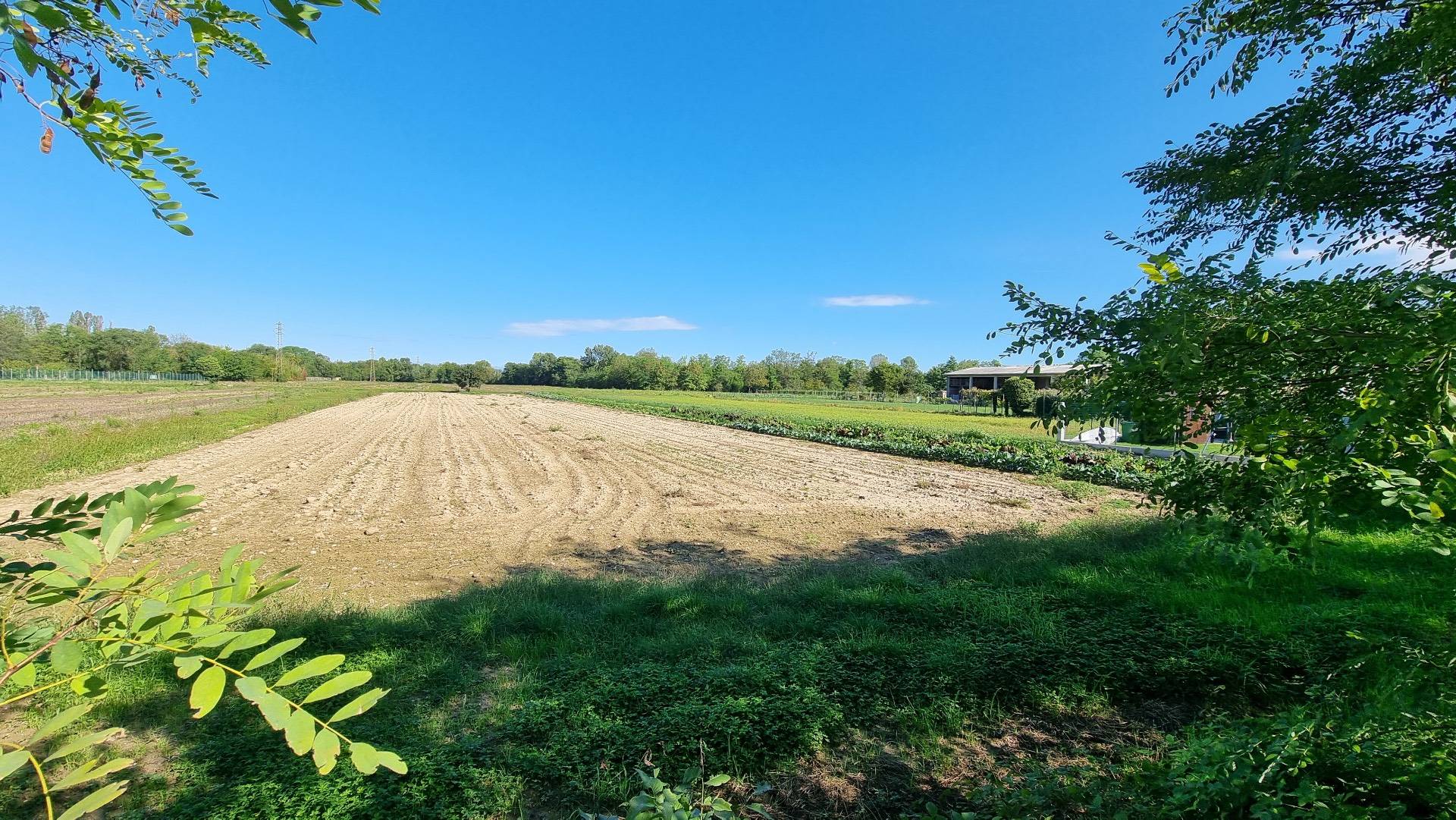 Terreno edificabile in vendita a Turriaco