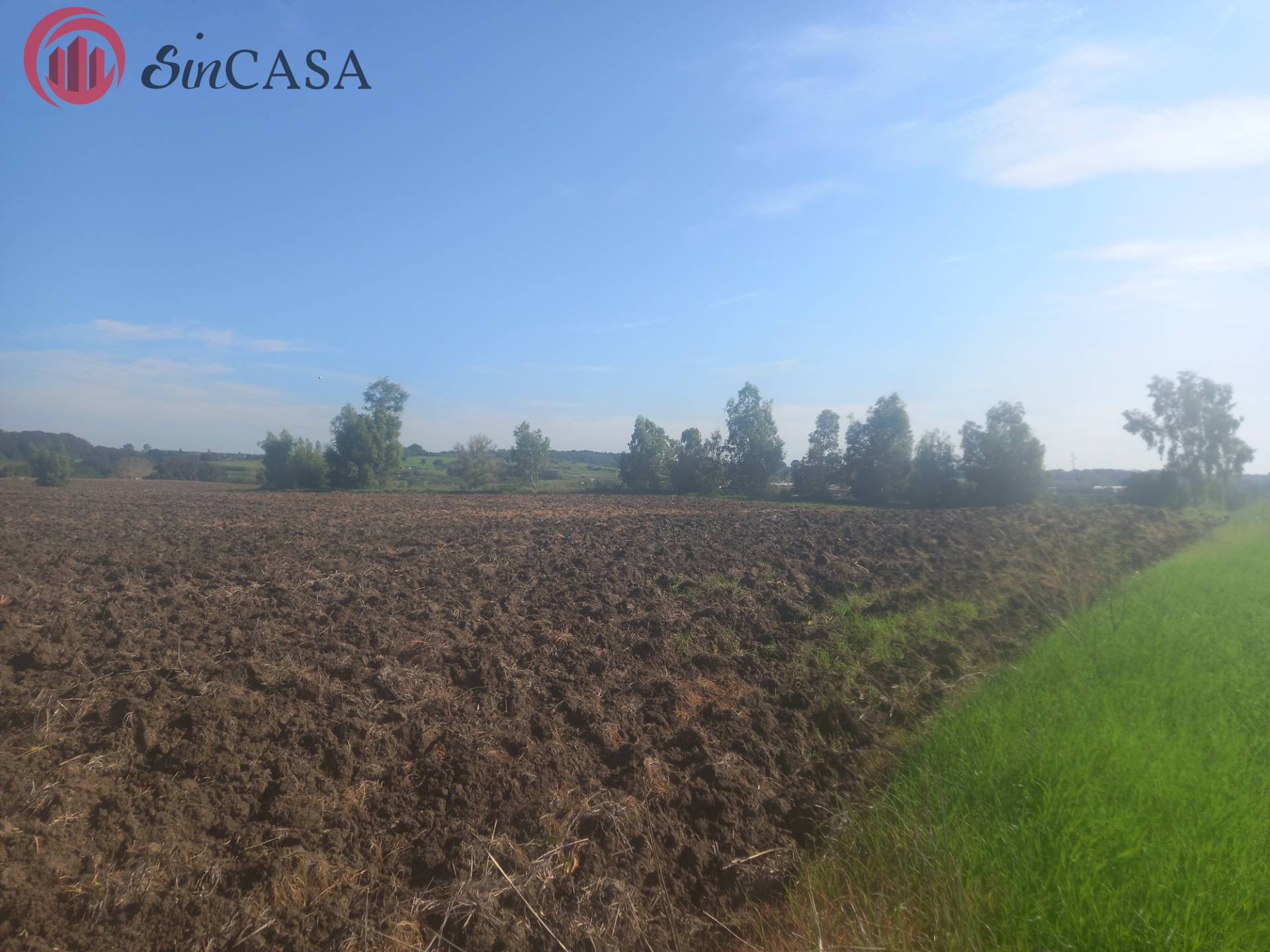Terreno Agricolo in vendita a Cerveteri