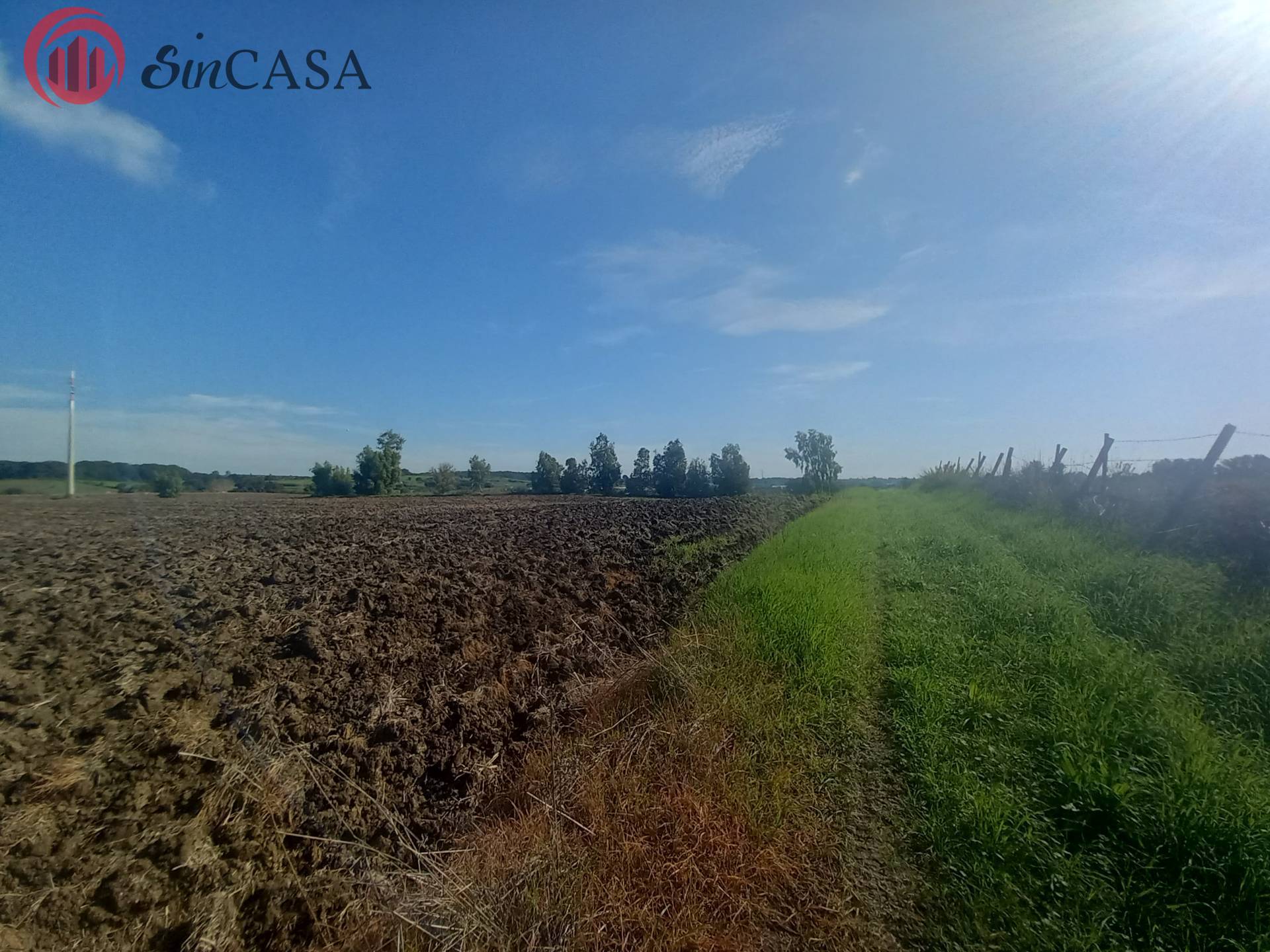 Terreno Agricolo in vendita a Cerveteri