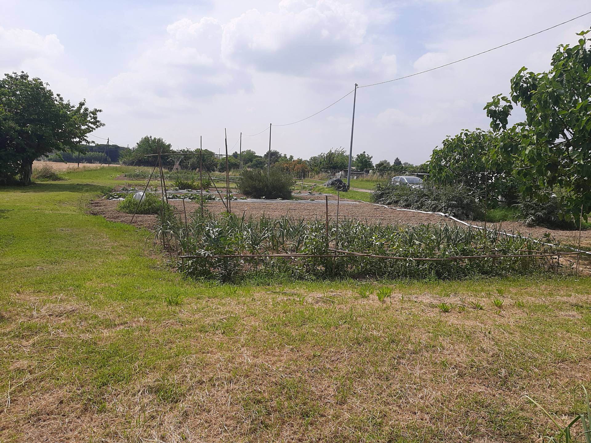 Terreno Agricolo in vendita a Ravenna, Porto Fuori