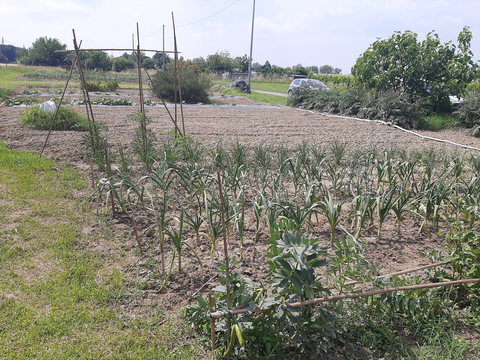 Terreno Agricolo in vendita a Ravenna, Porto Fuori