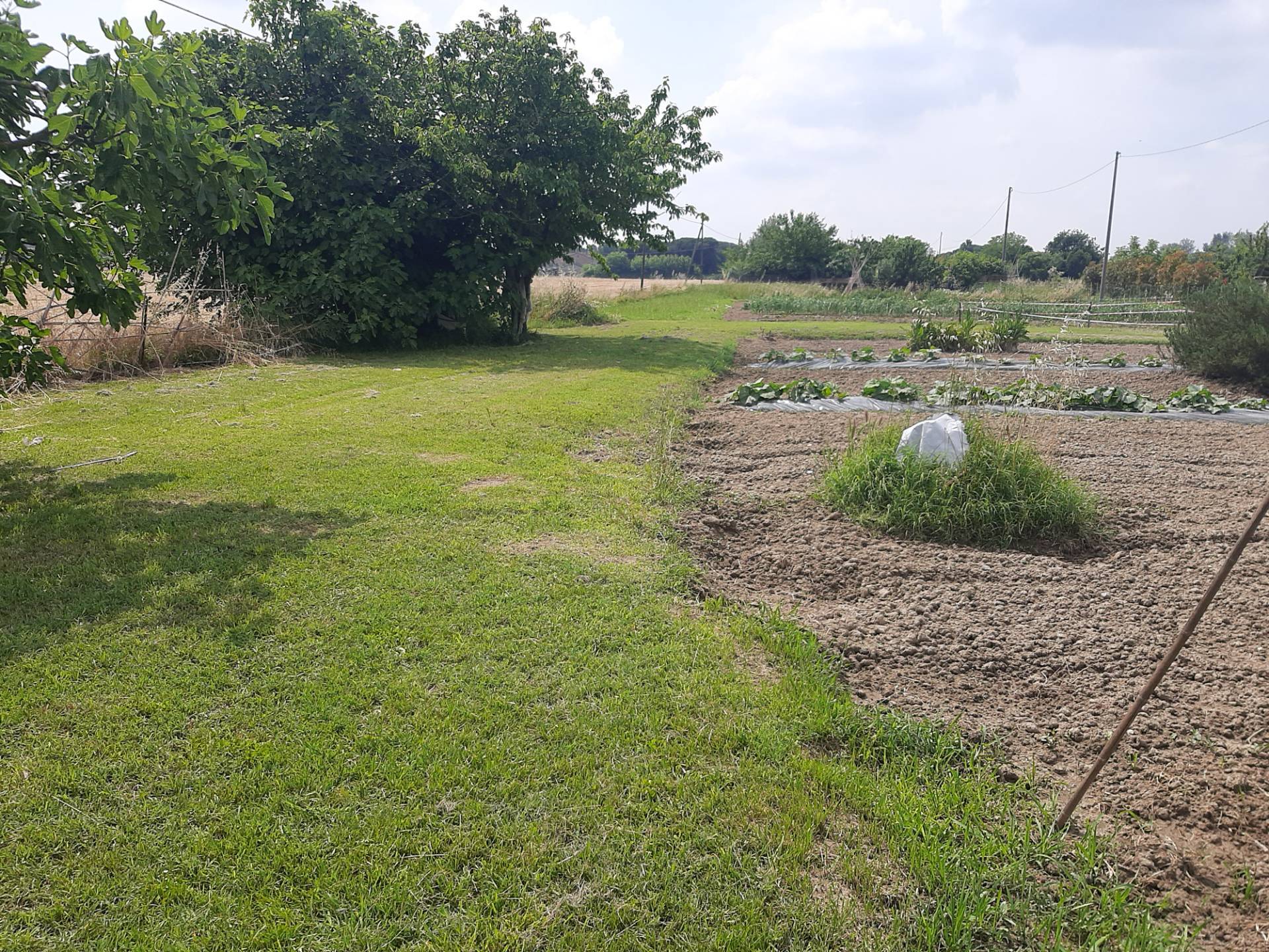 Terreno Agricolo in vendita a Ravenna, Porto Fuori