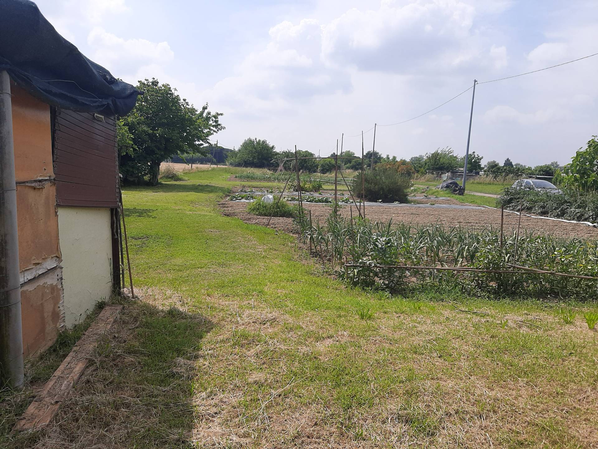 Terreno Agricolo in vendita a Ravenna, Porto Fuori