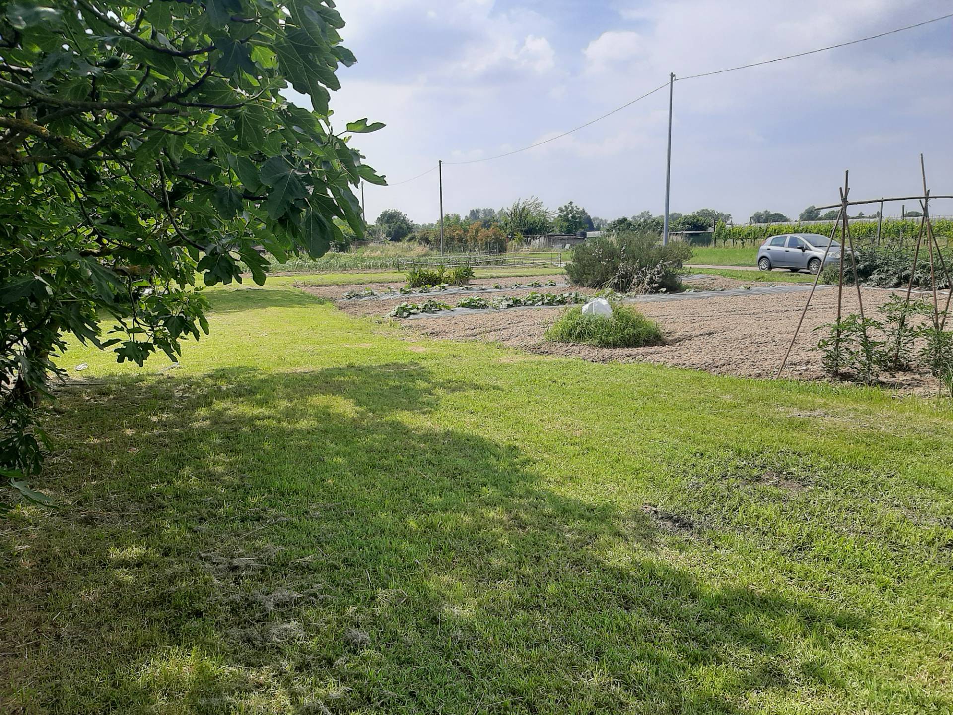 Terreno Agricolo in vendita a Ravenna, Porto Fuori