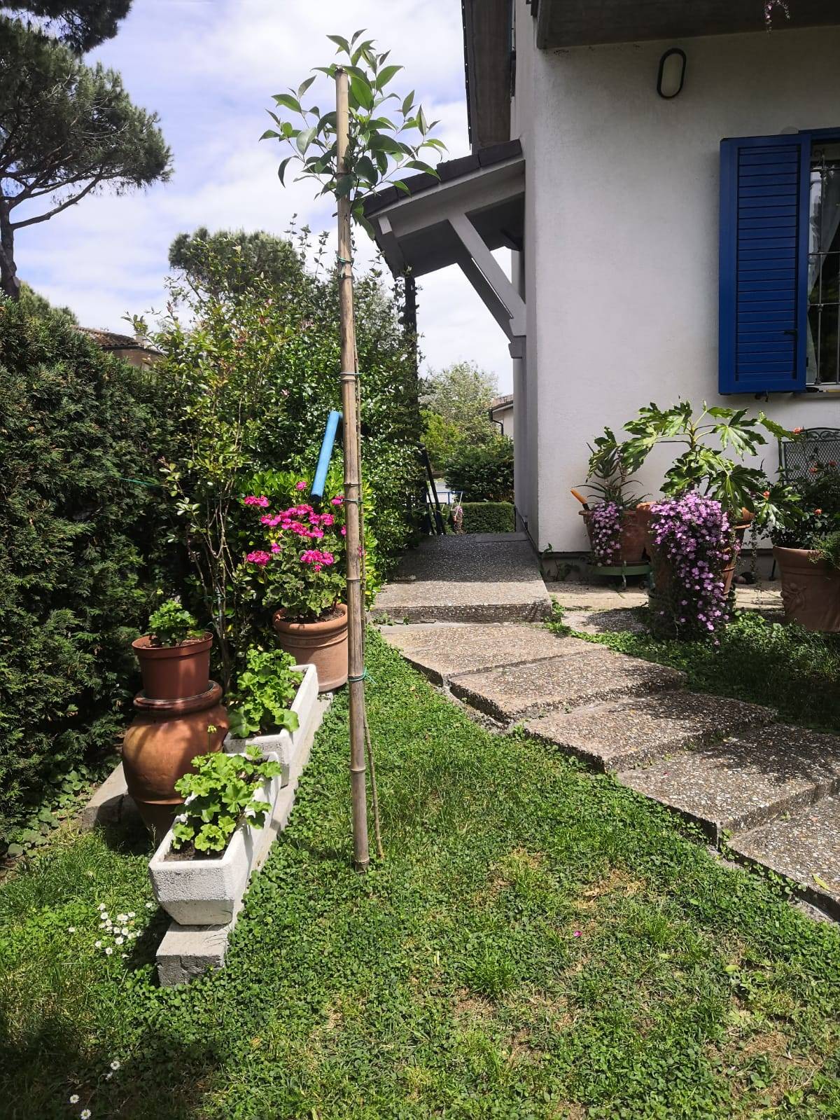 Porzione di casa in vendita a Ravenna, Lido Adriano
