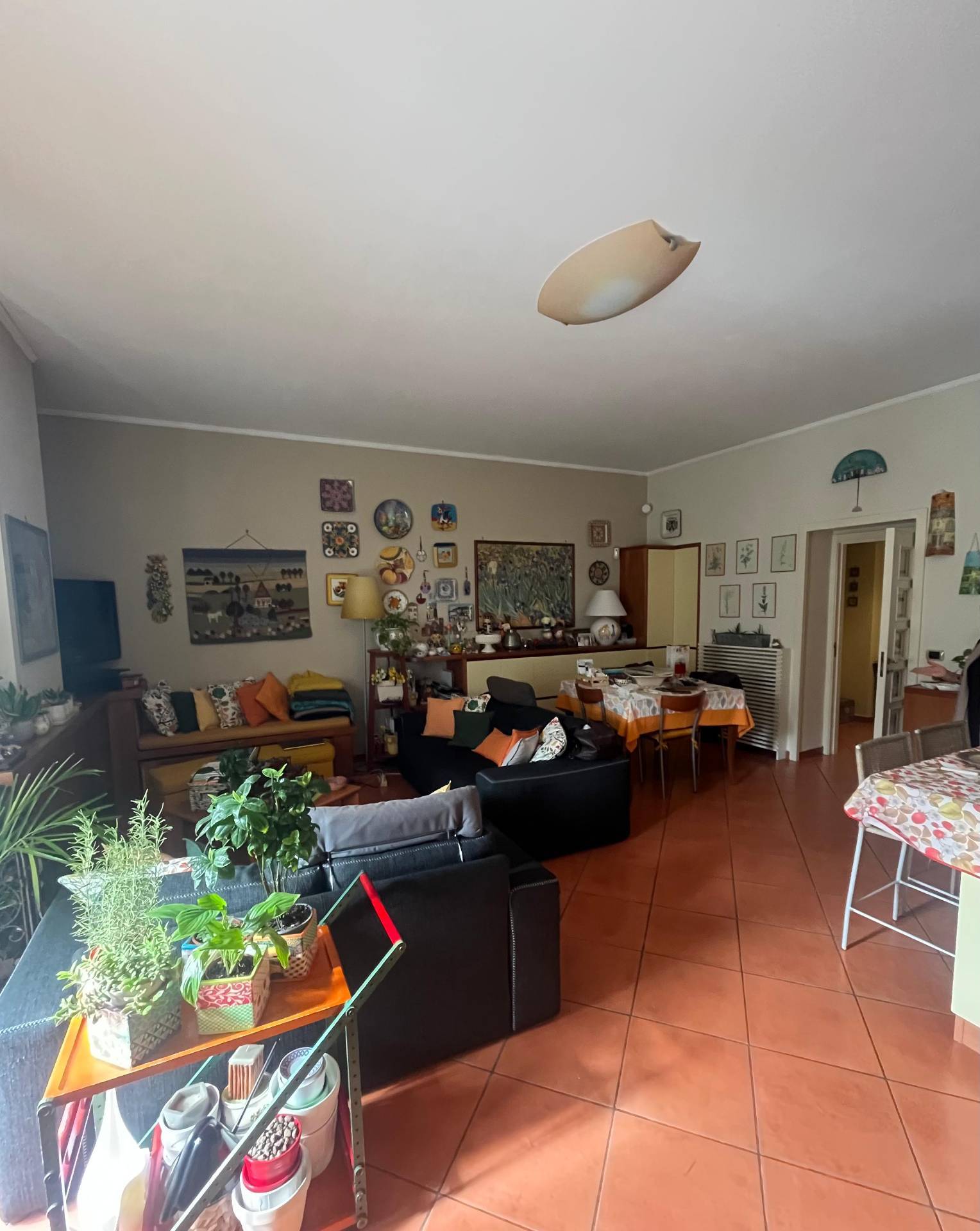 Appartamento in vendita a Somma Vesuviana