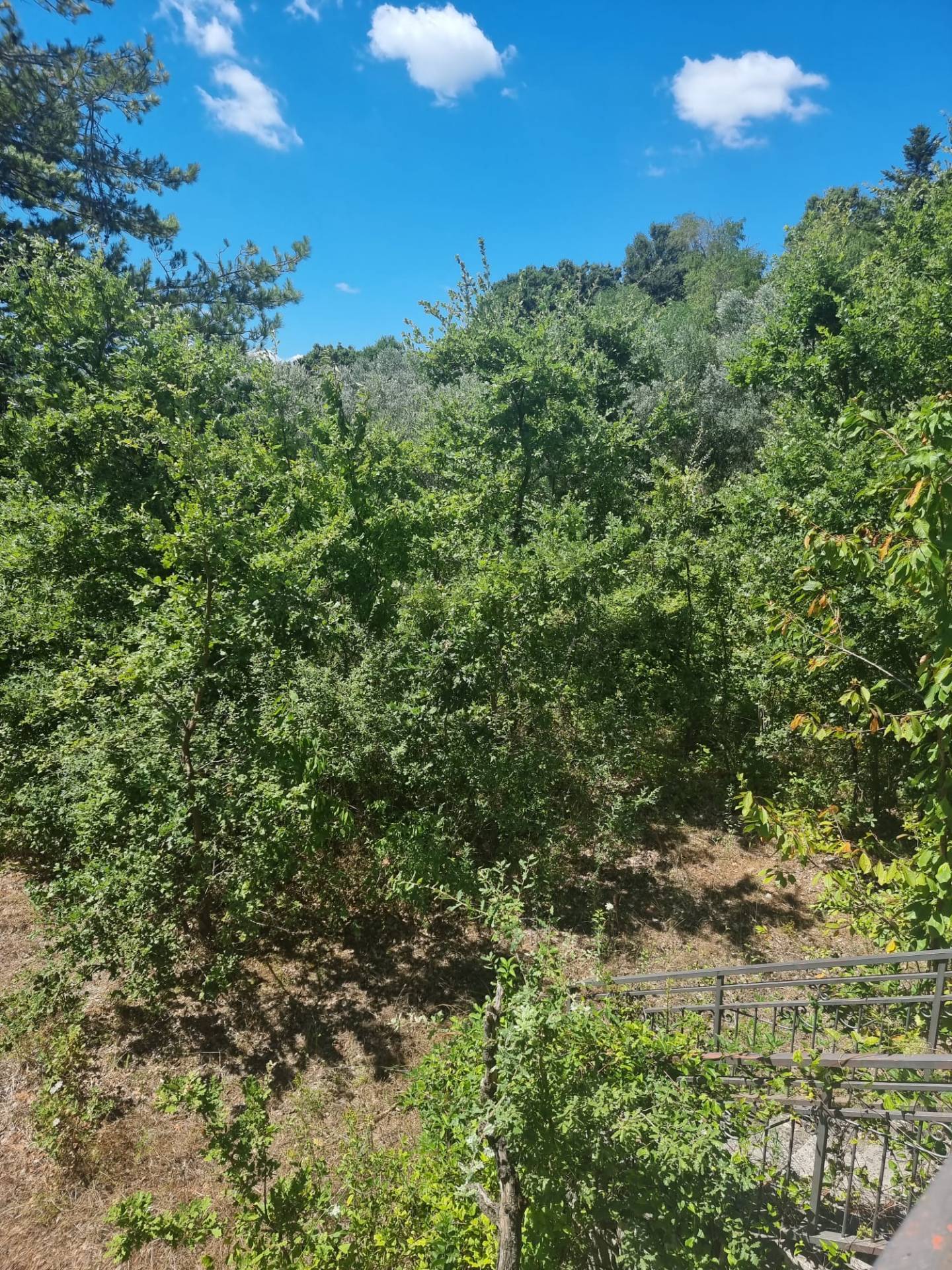 Villa in vendita a Poggio Sannita