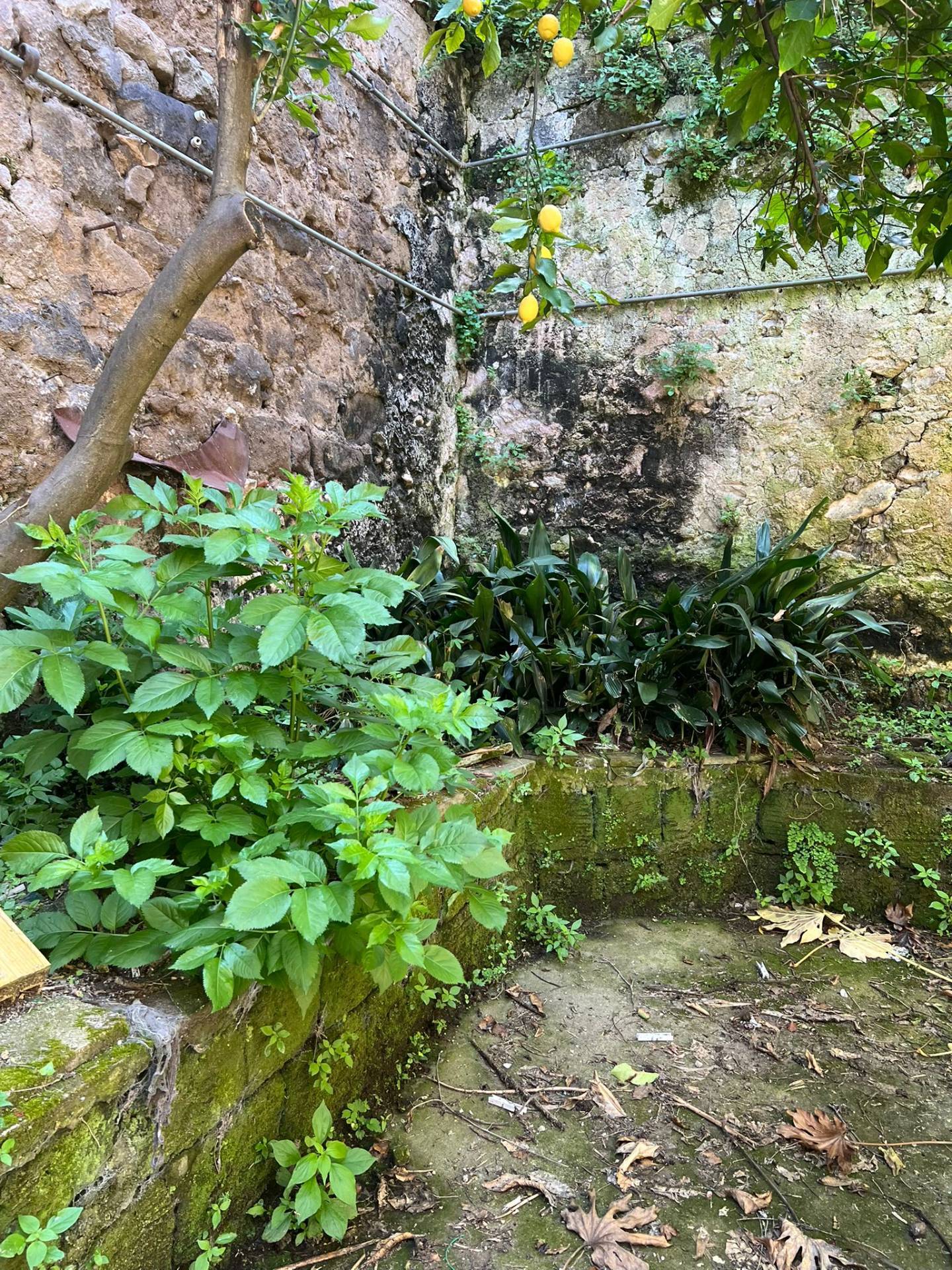 Stabile / Palazzo in vendita a Caiazzo