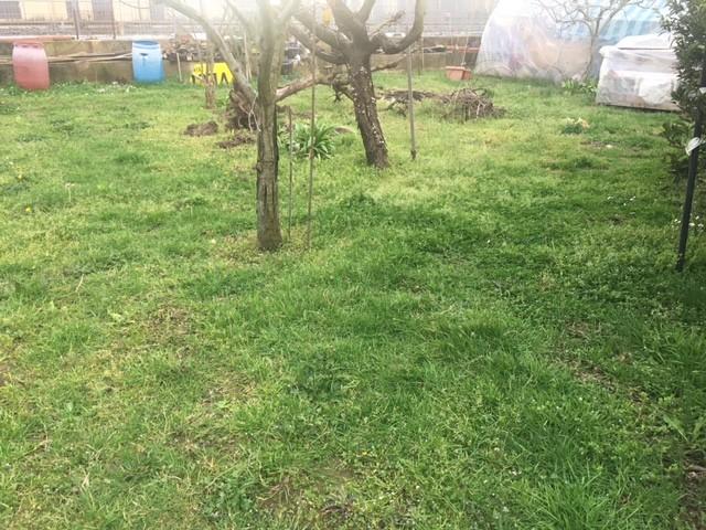 Villa Bifamiliare con giardino, Cascina san benedetto a settimo