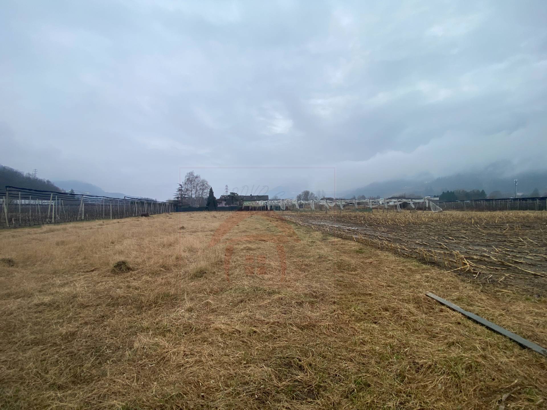 Terreno Agricolo in vendita a Pergine Valsugana