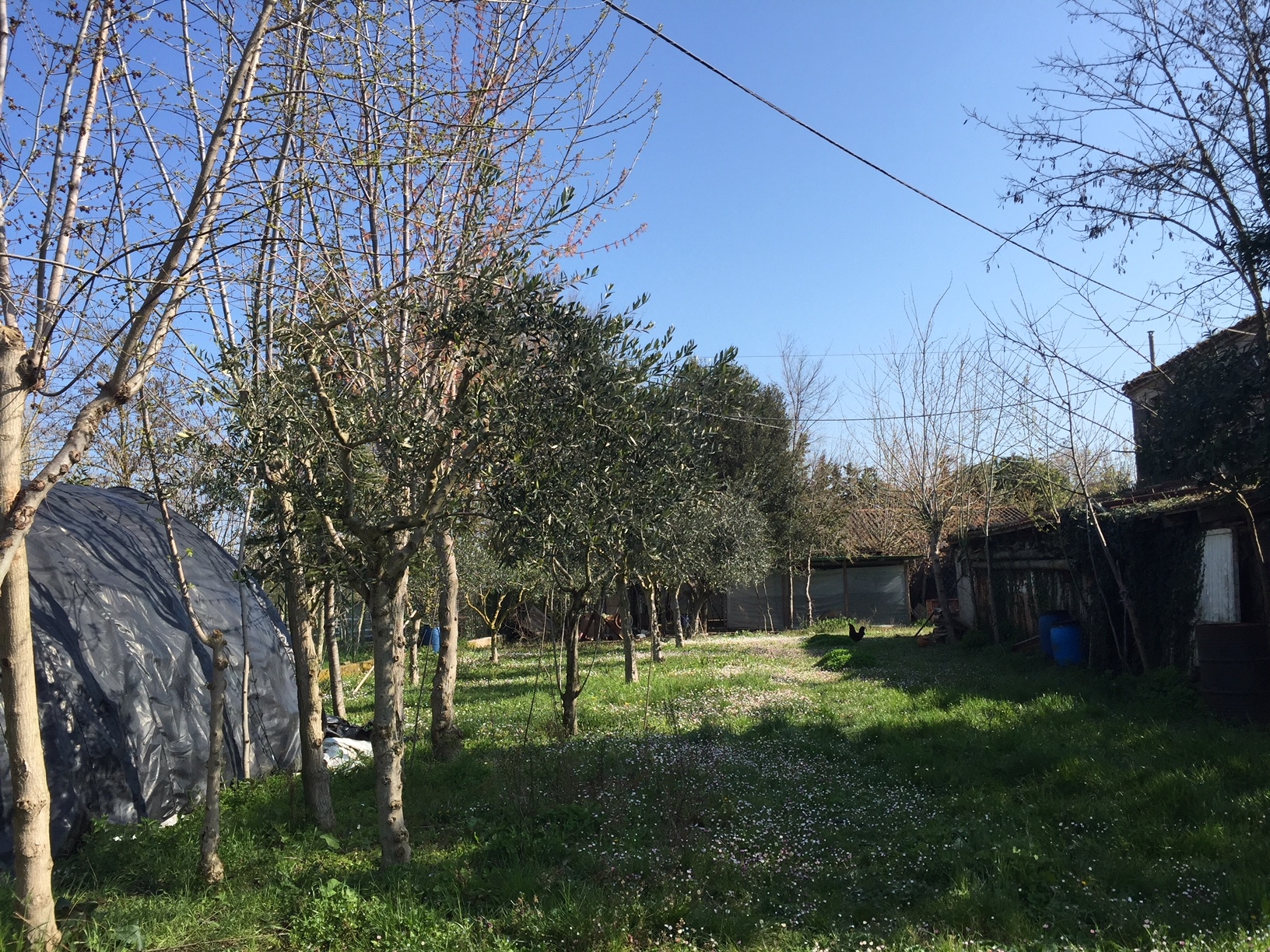 immagine annuncio 1 di 4