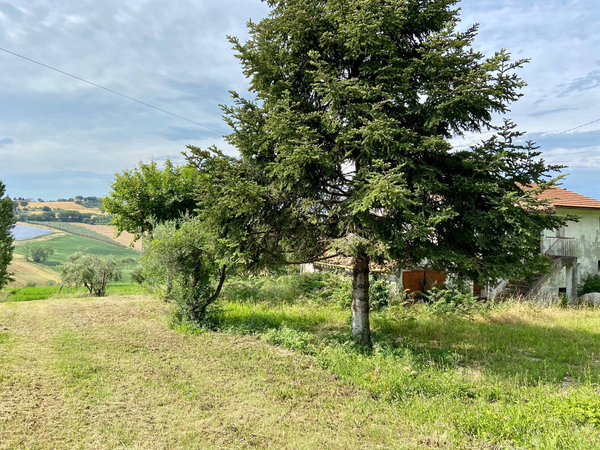 immagine annuncio 1 di 6