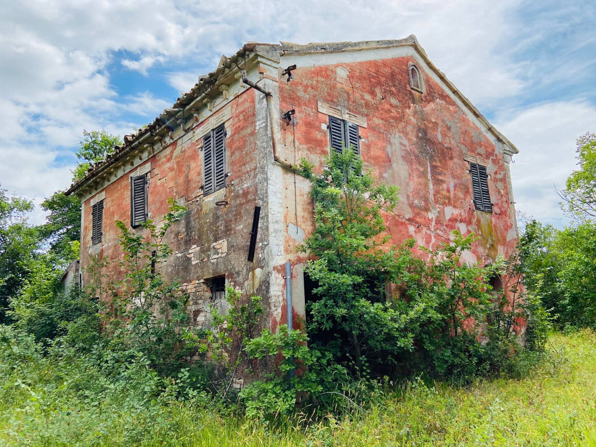 immagine annuncio 1 di 6
