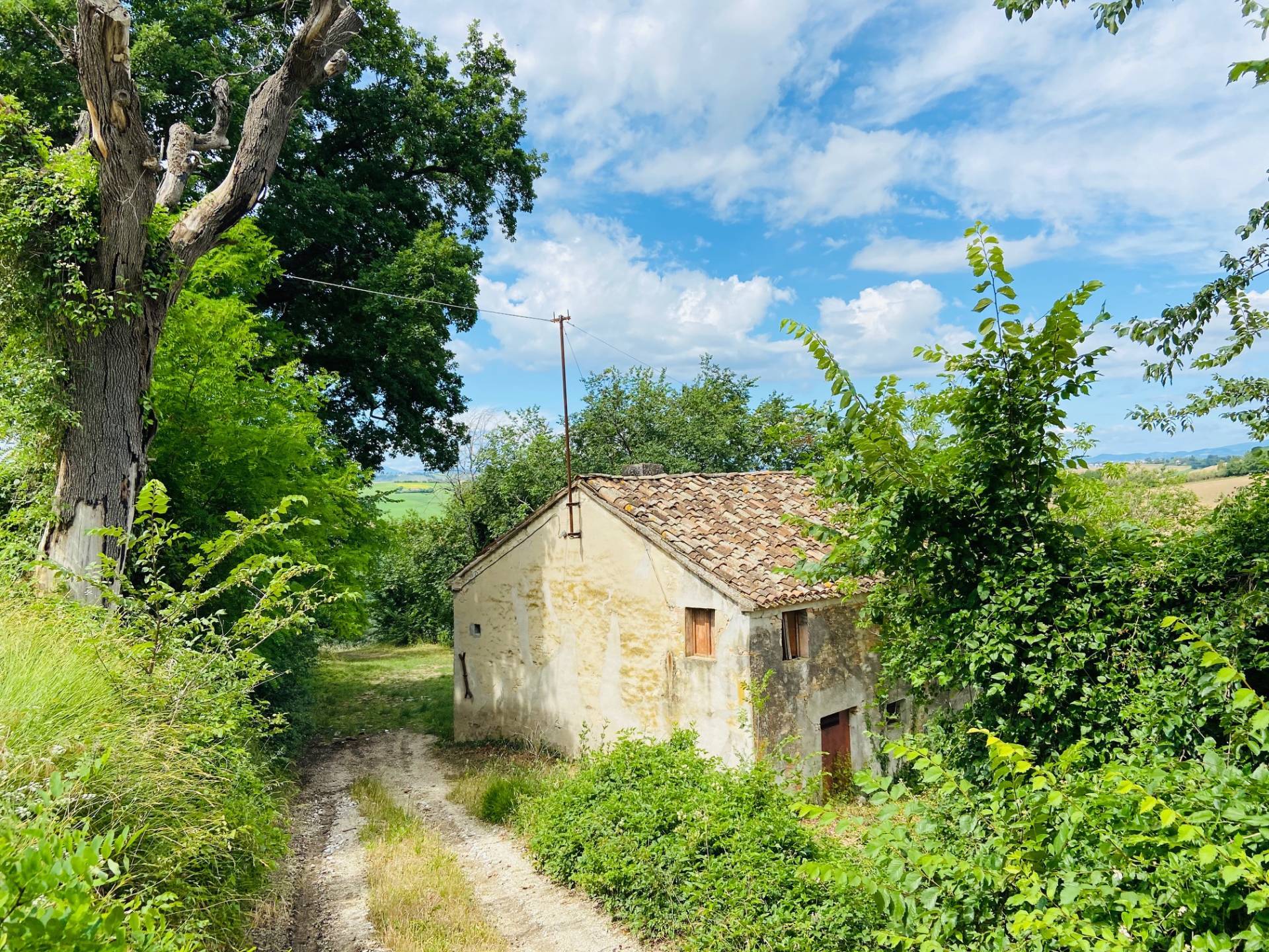 immagine annuncio 1 di 6
