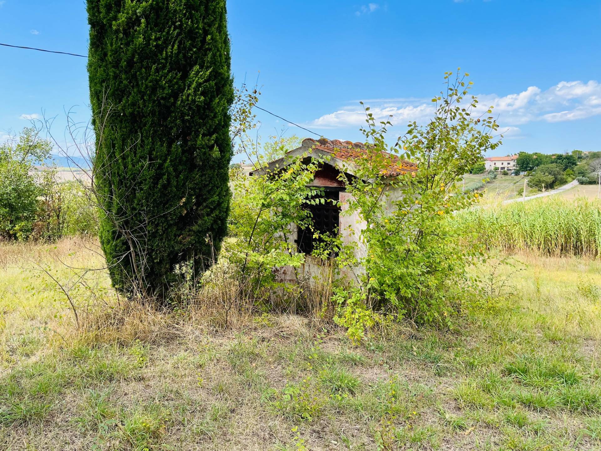 immagine annuncio 3 di 6