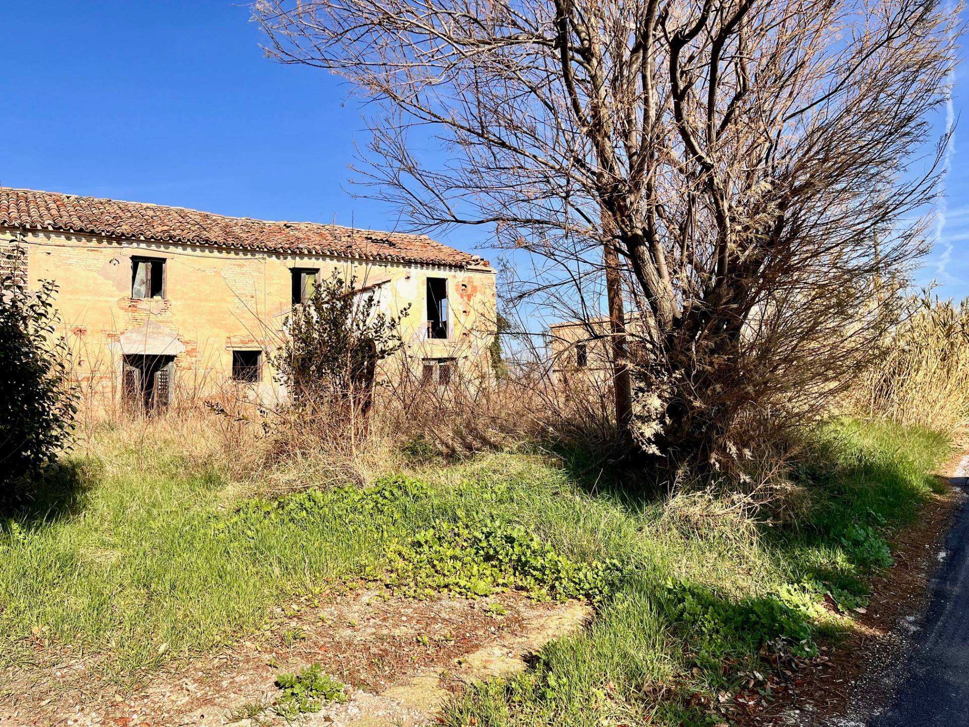immagine annuncio 4 di 6