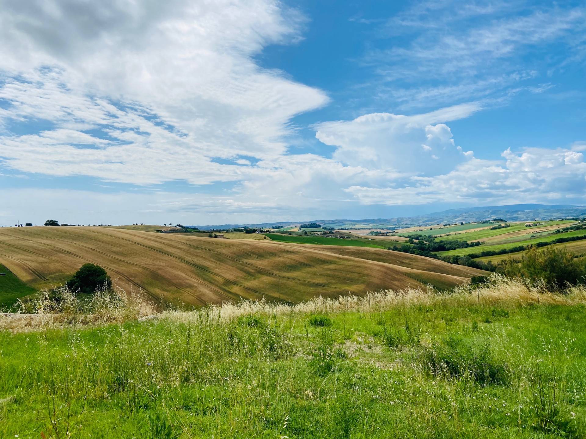Casolare in vendita a Belvedere Ostrense